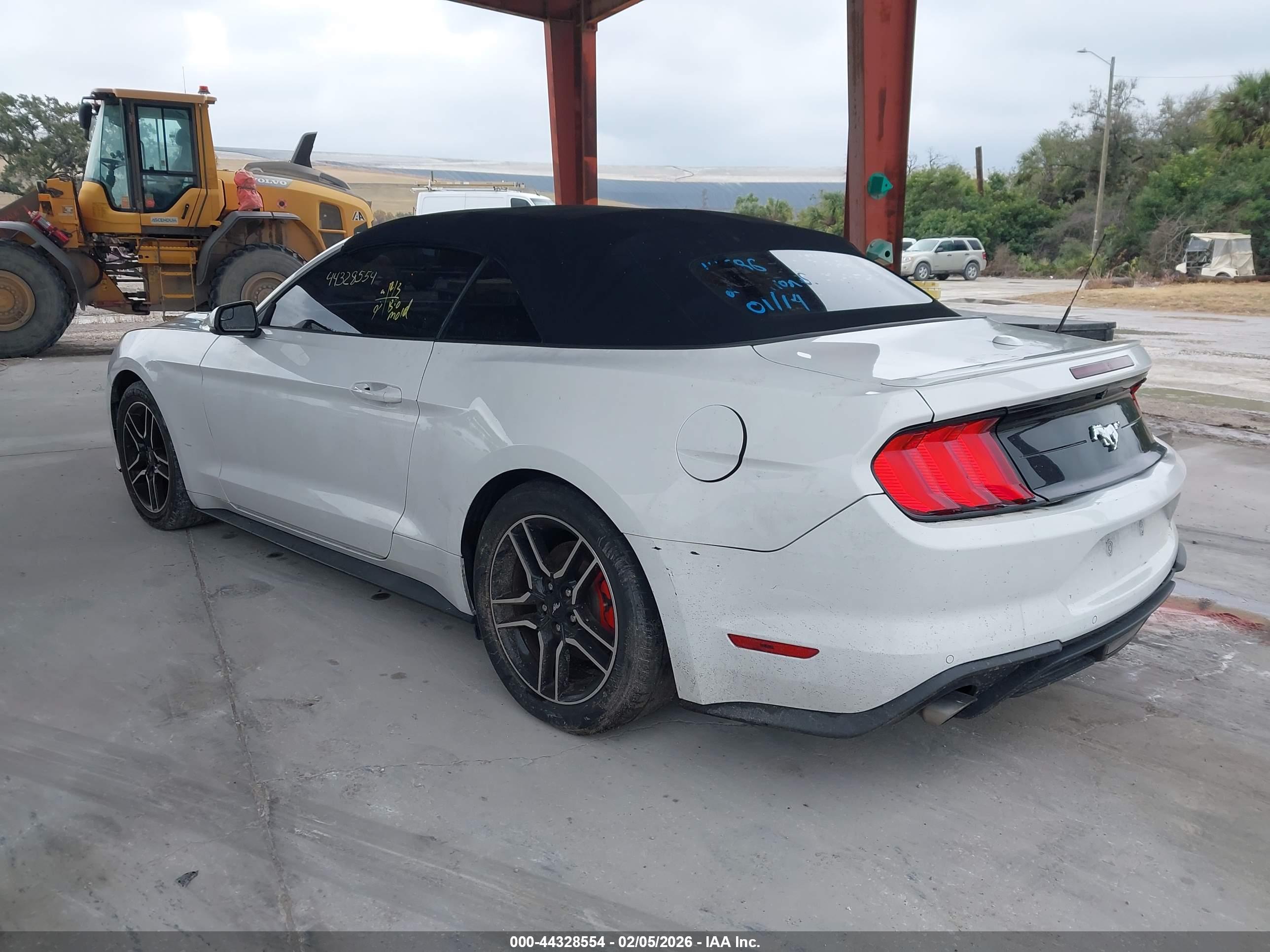 FORD MUSTANG image 3