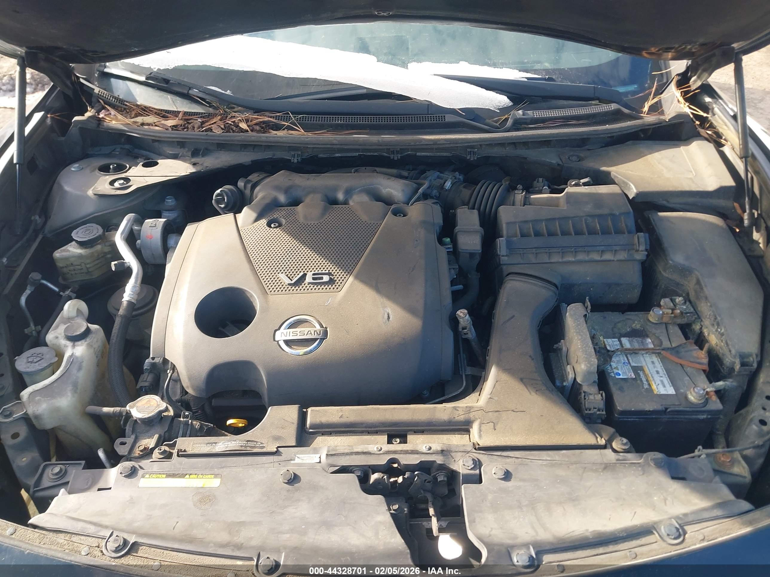 NISSAN MAXIMA image 10