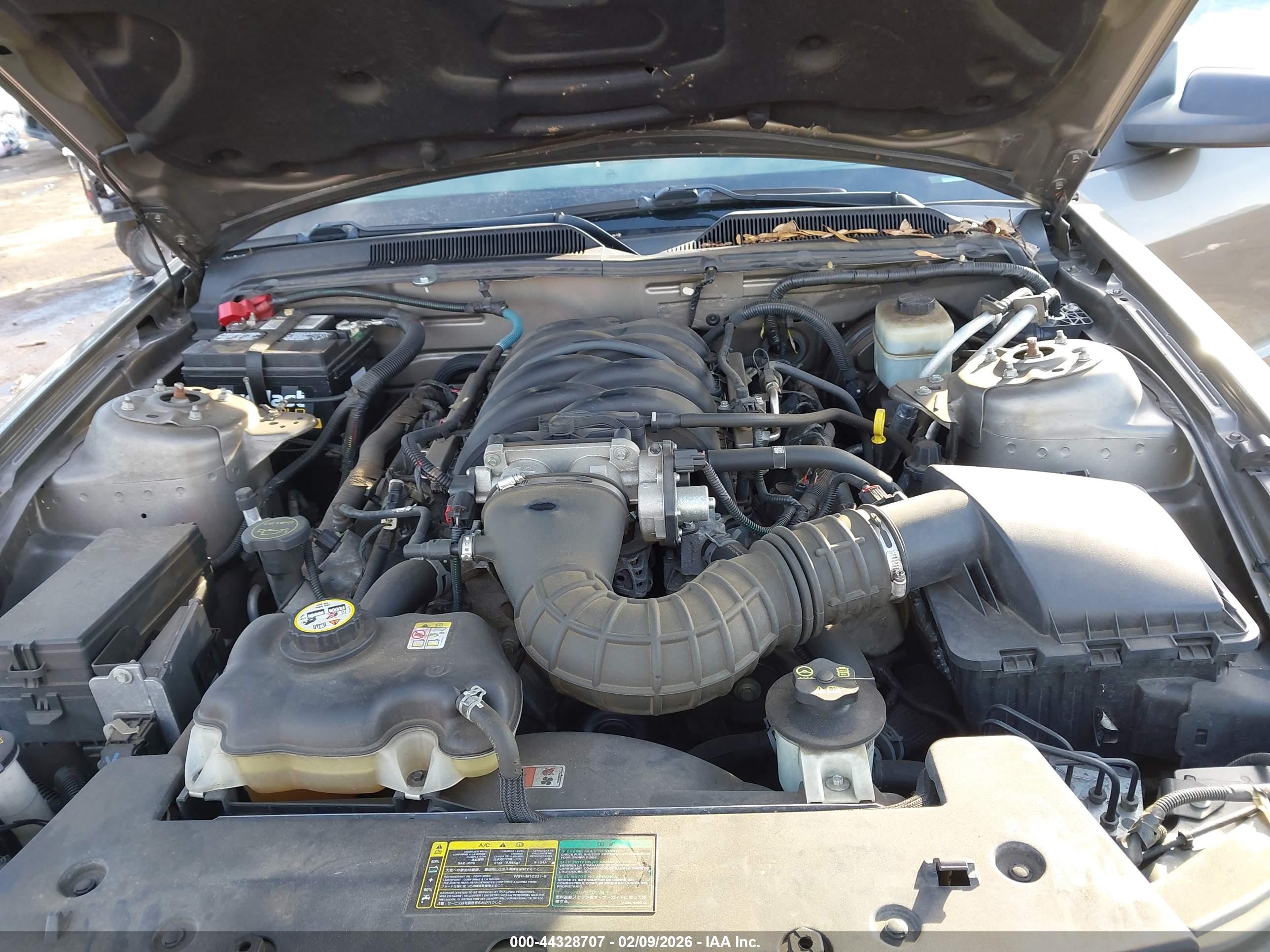 FORD MUSTANG image 10