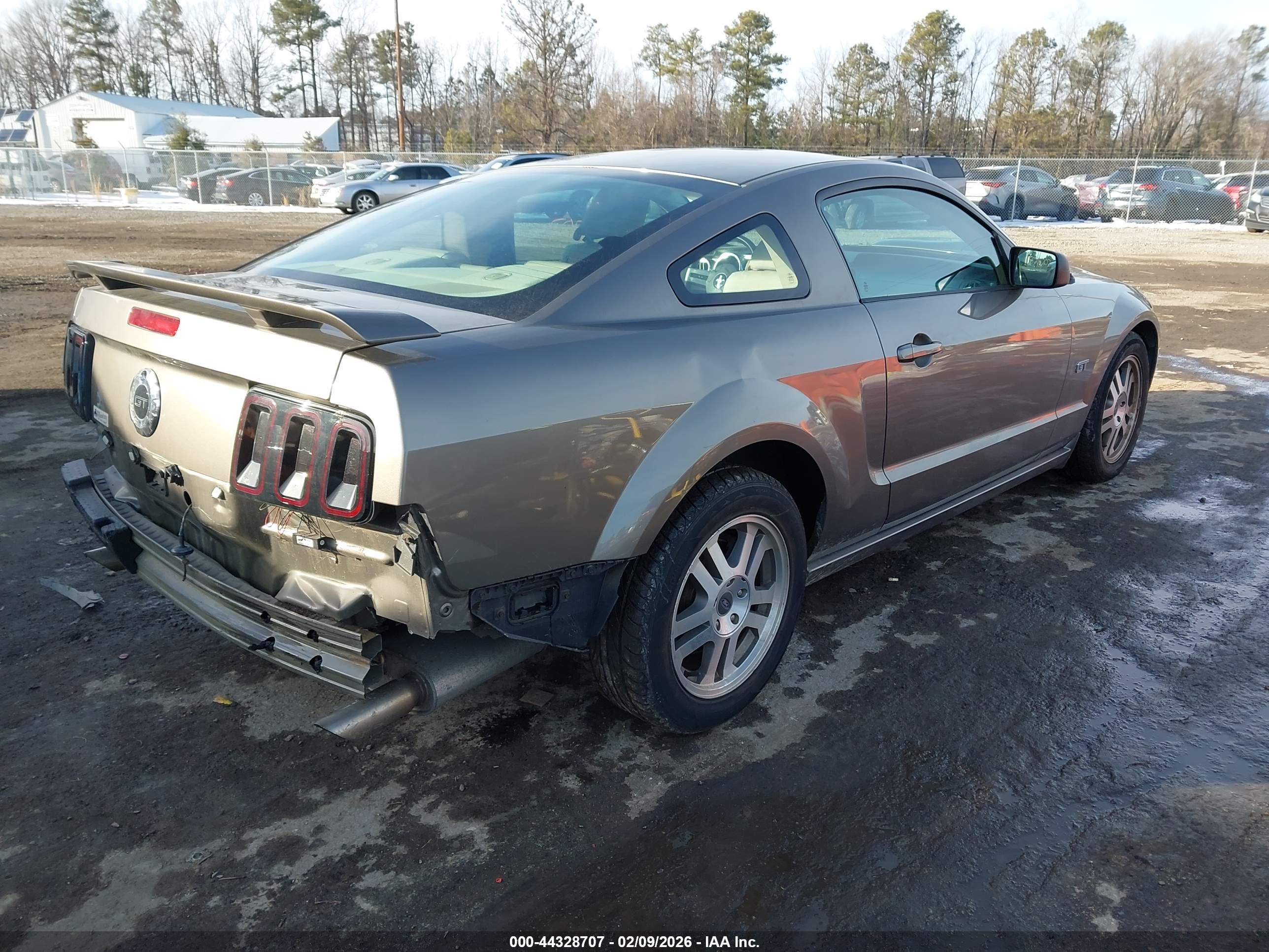 FORD MUSTANG image 4