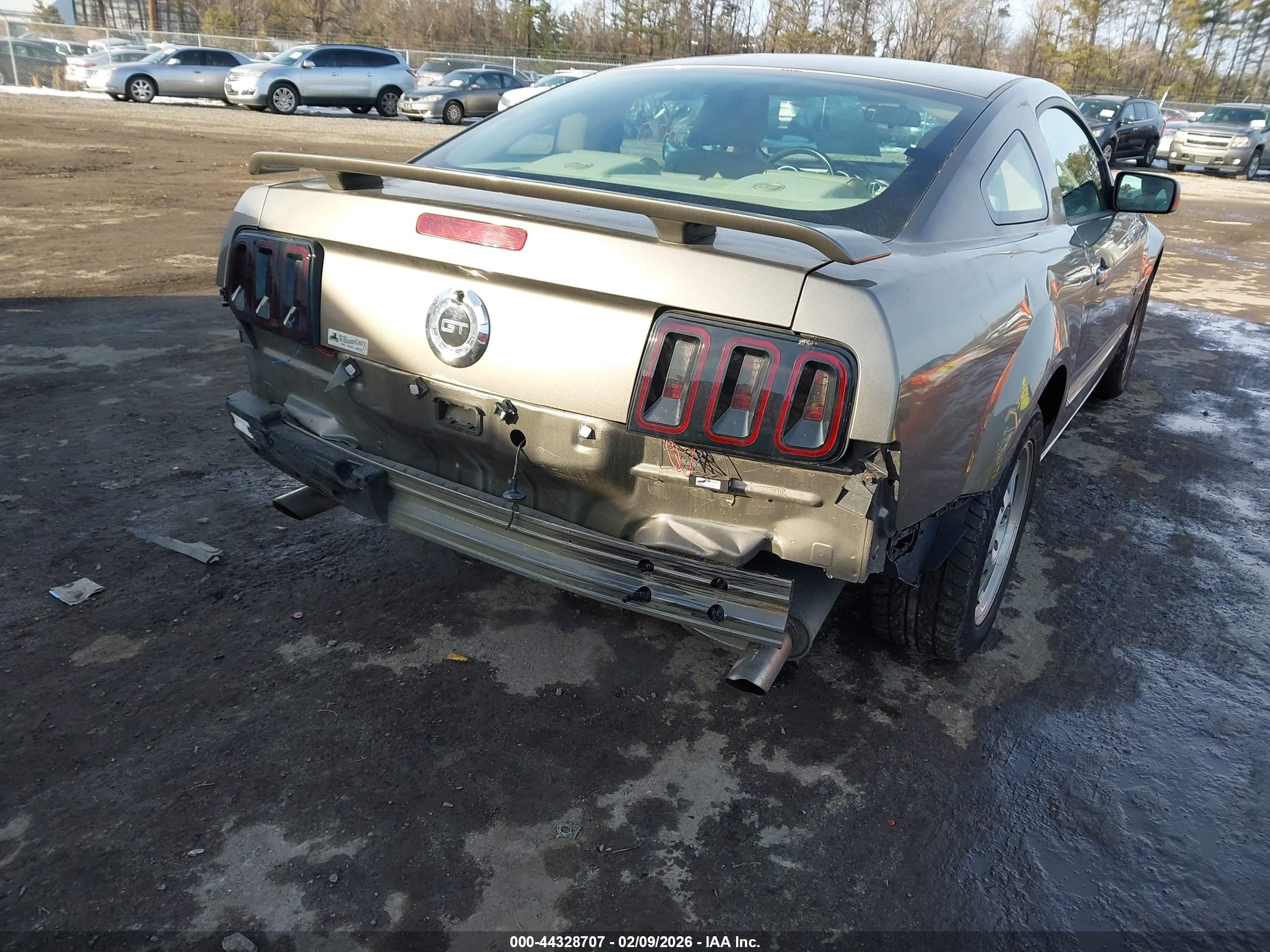 FORD MUSTANG image 6