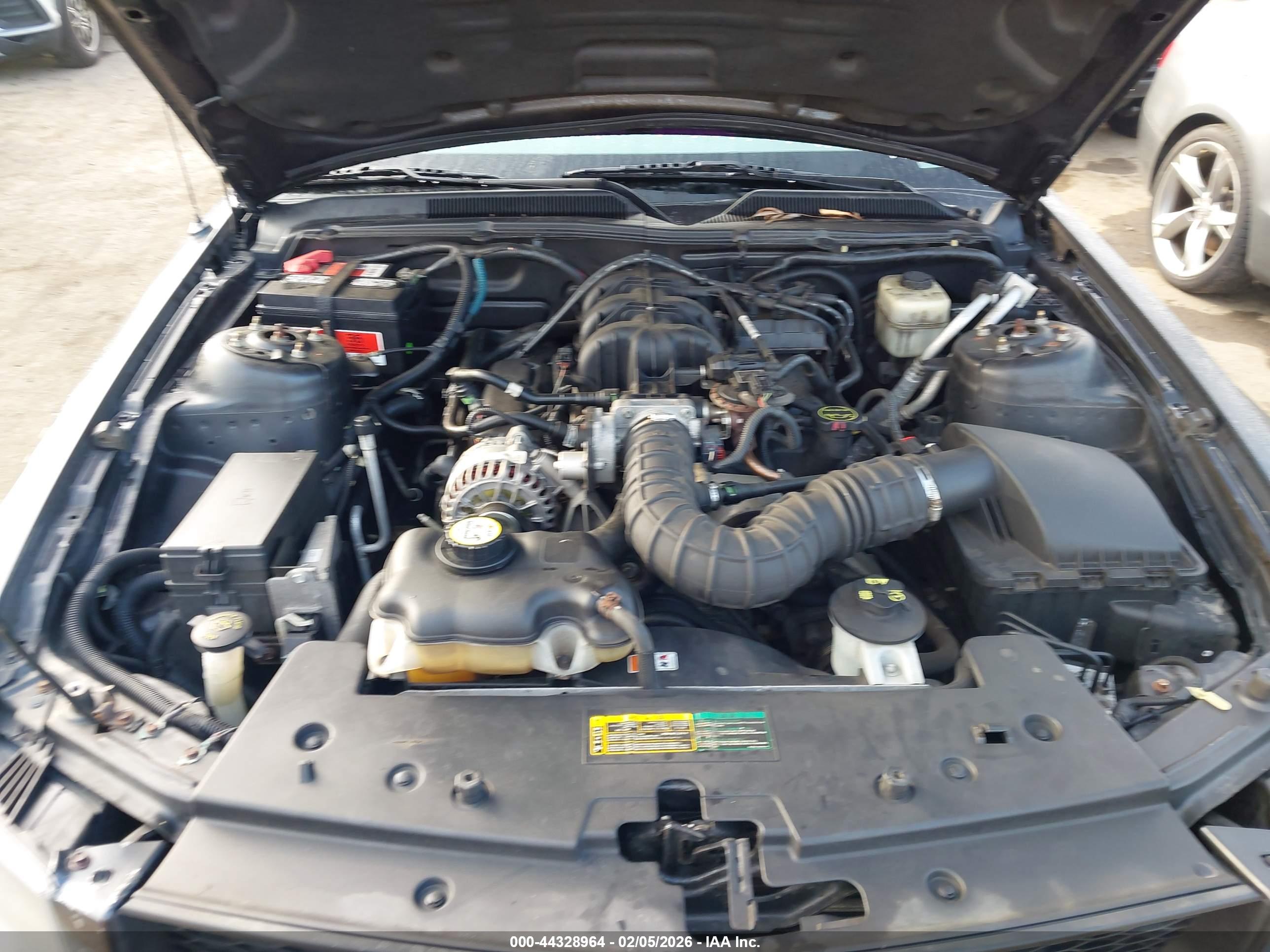 FORD MUSTANG image 10