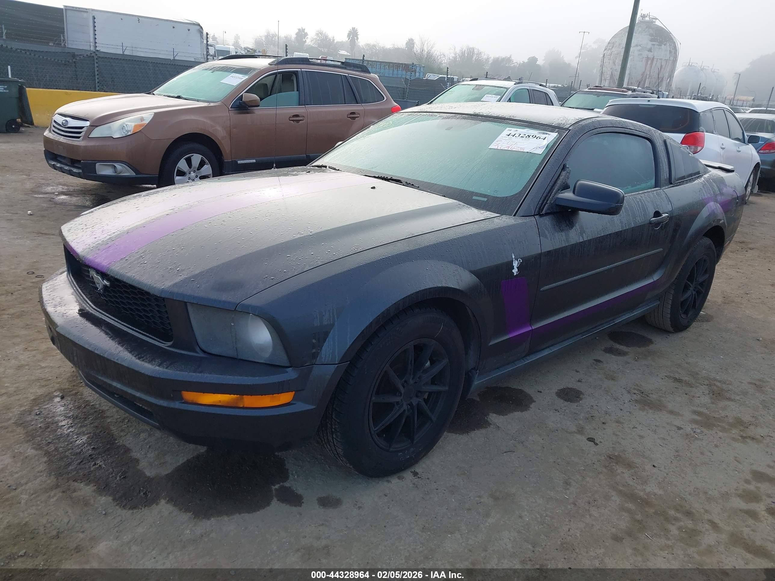 FORD MUSTANG image 2