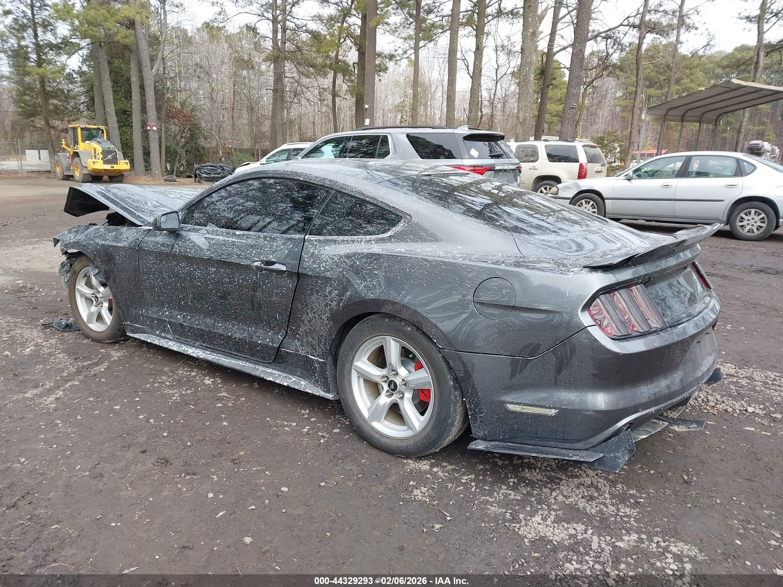FORD MUSTANG image 3