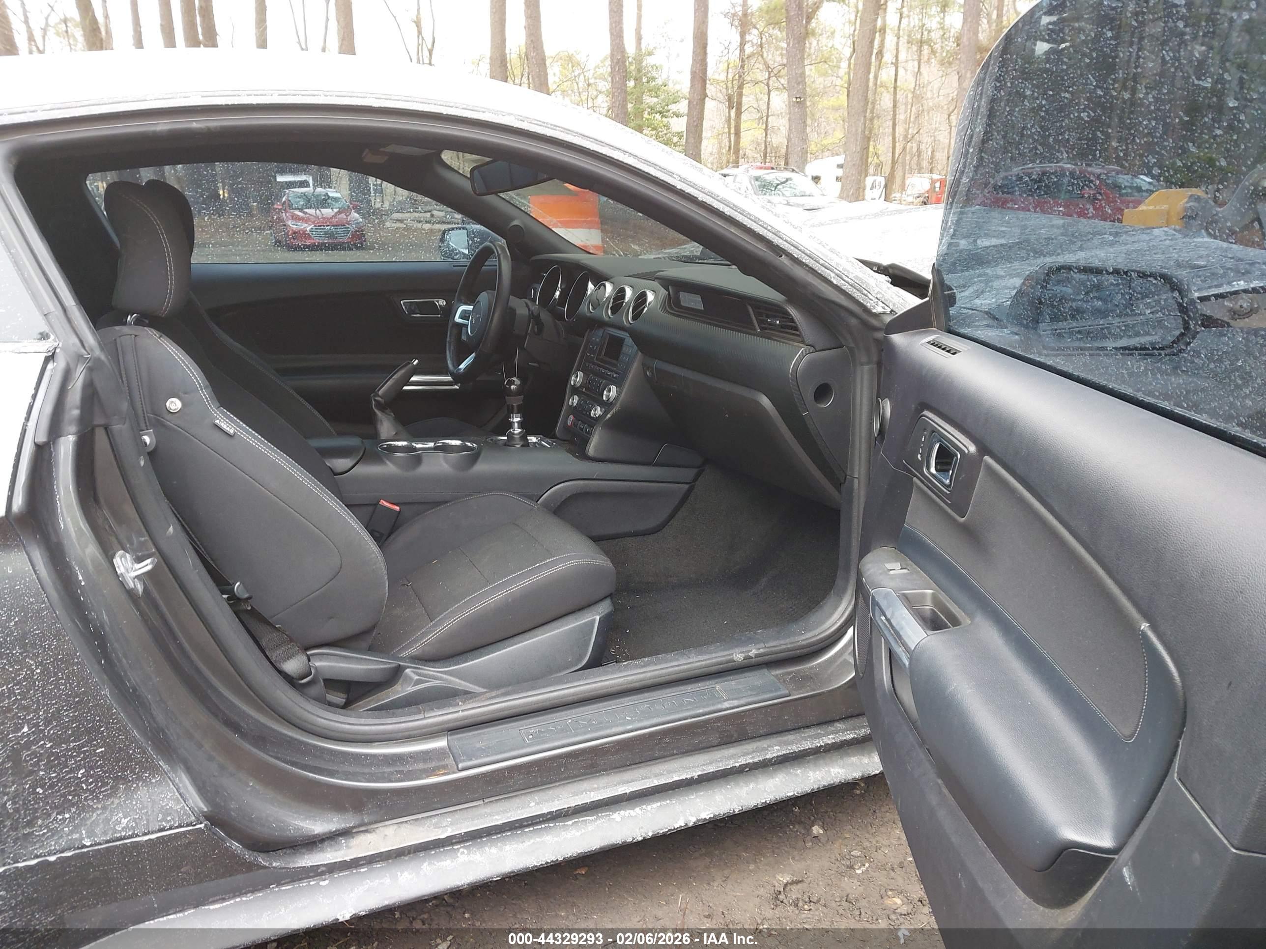 FORD MUSTANG image 5
