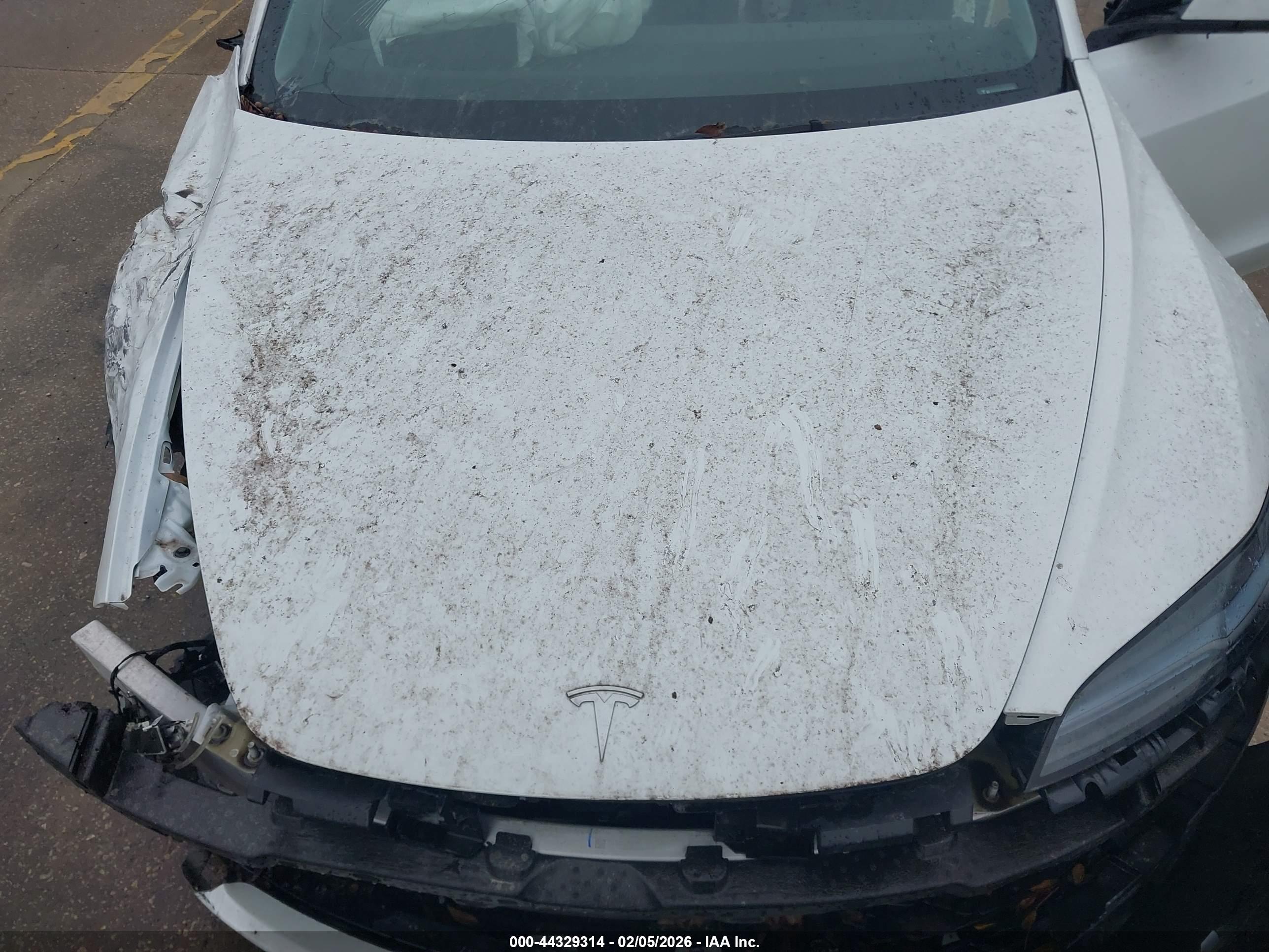TESLA MODEL image 10
