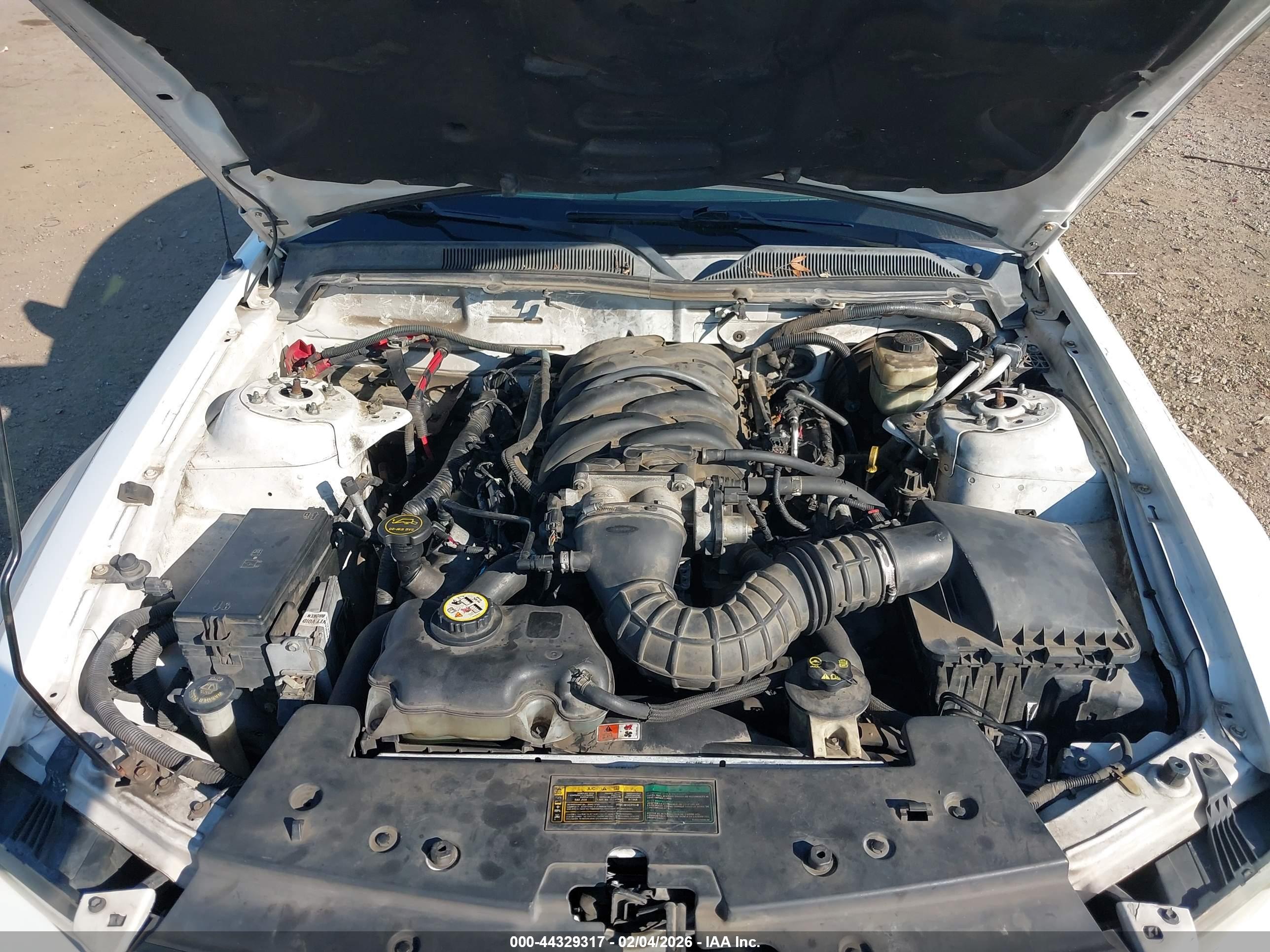 FORD MUSTANG image 10