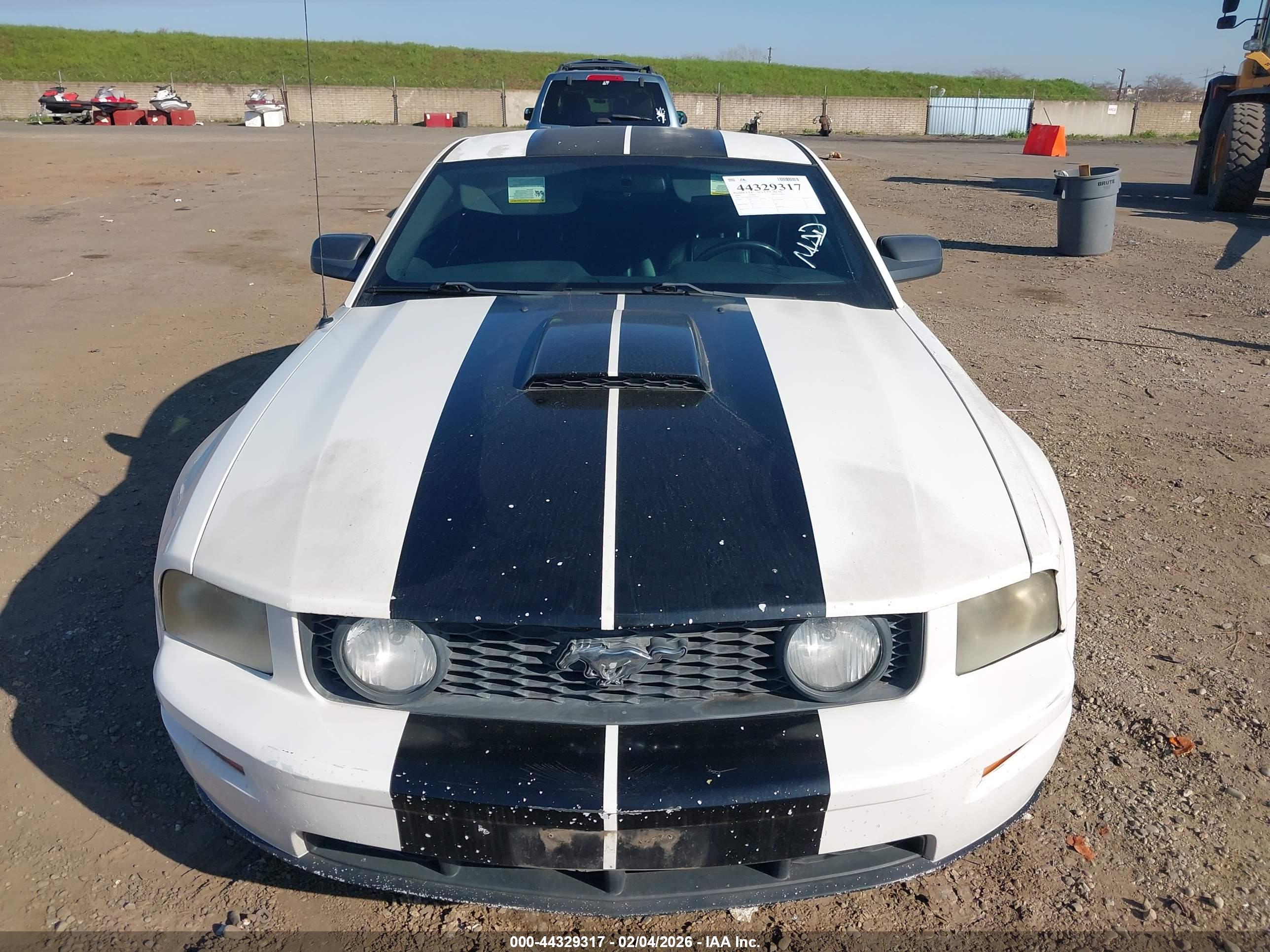FORD MUSTANG image 6