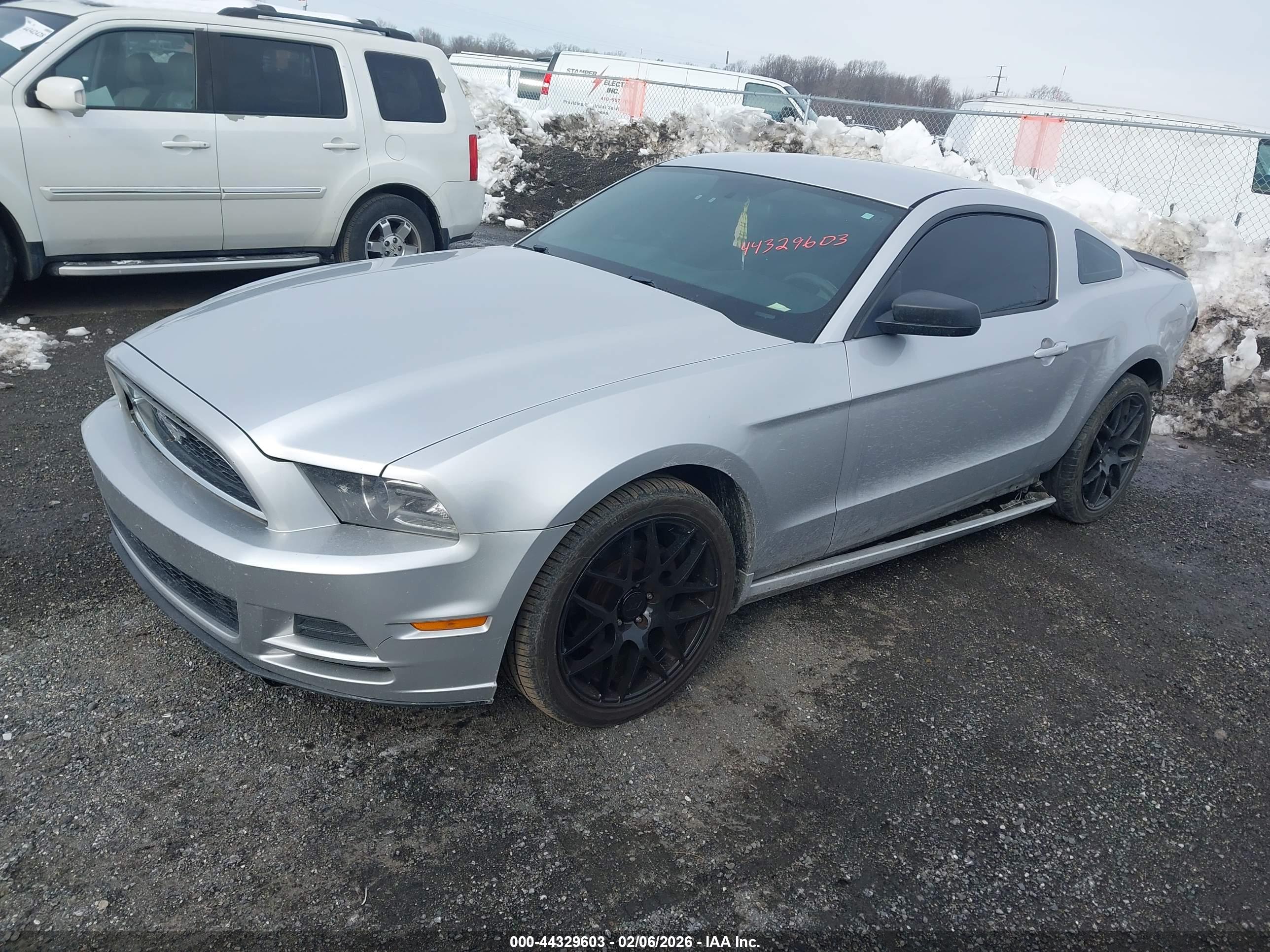 FORD MUSTANG image 2