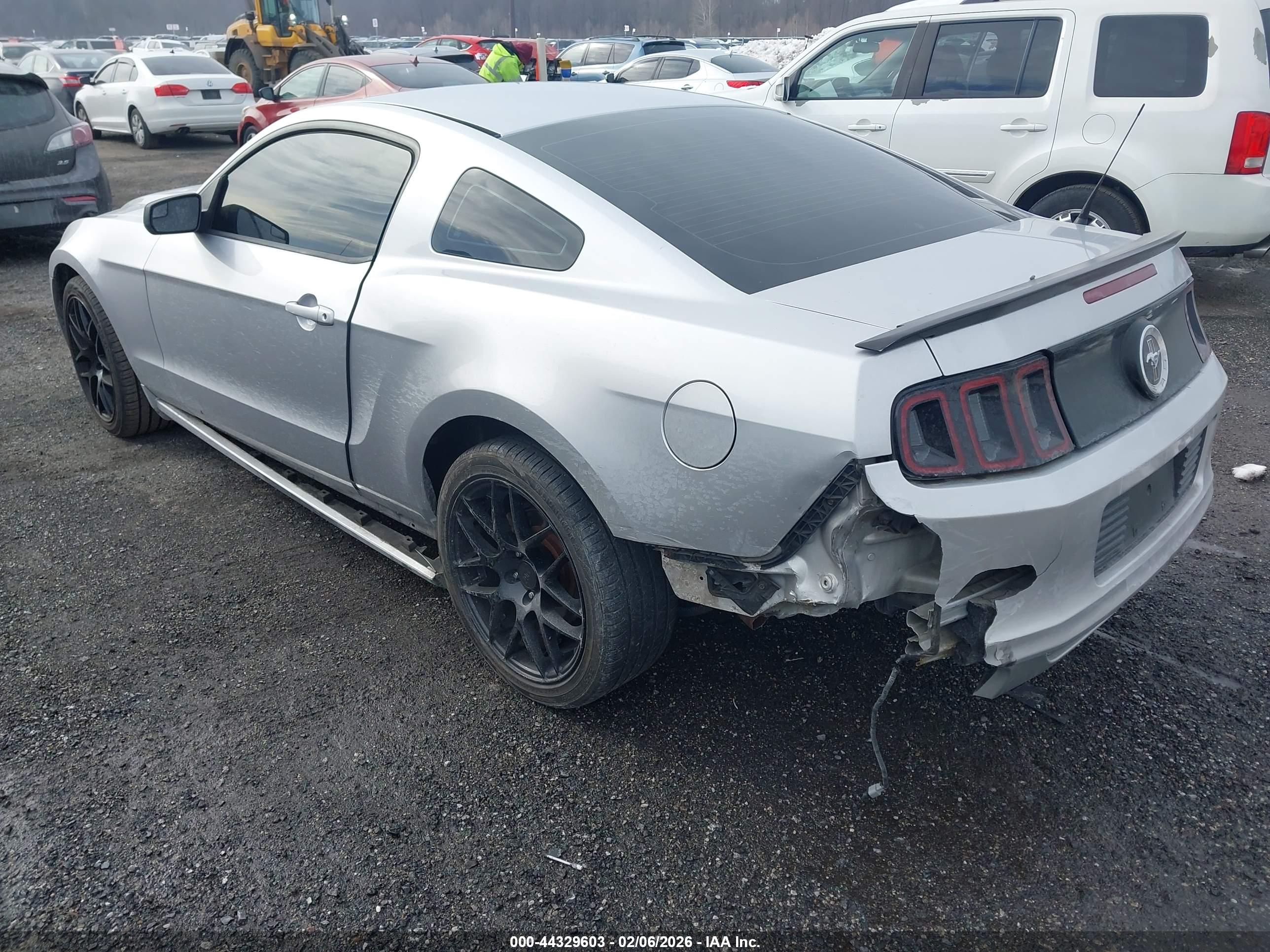 FORD MUSTANG image 3