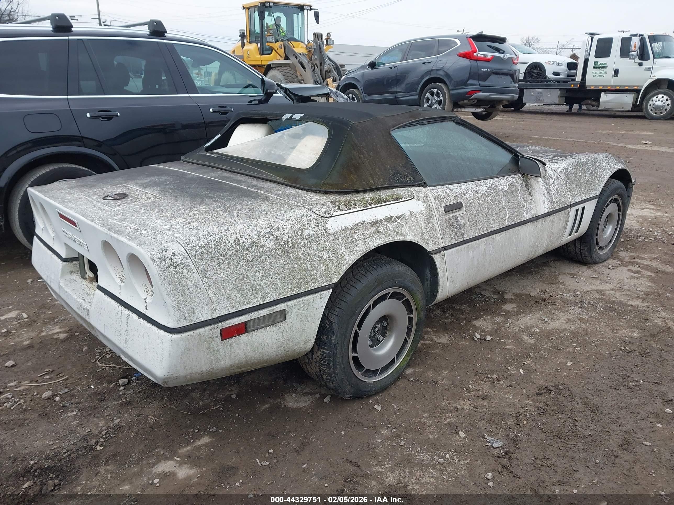 CHEVROLET CORVETTE image 4