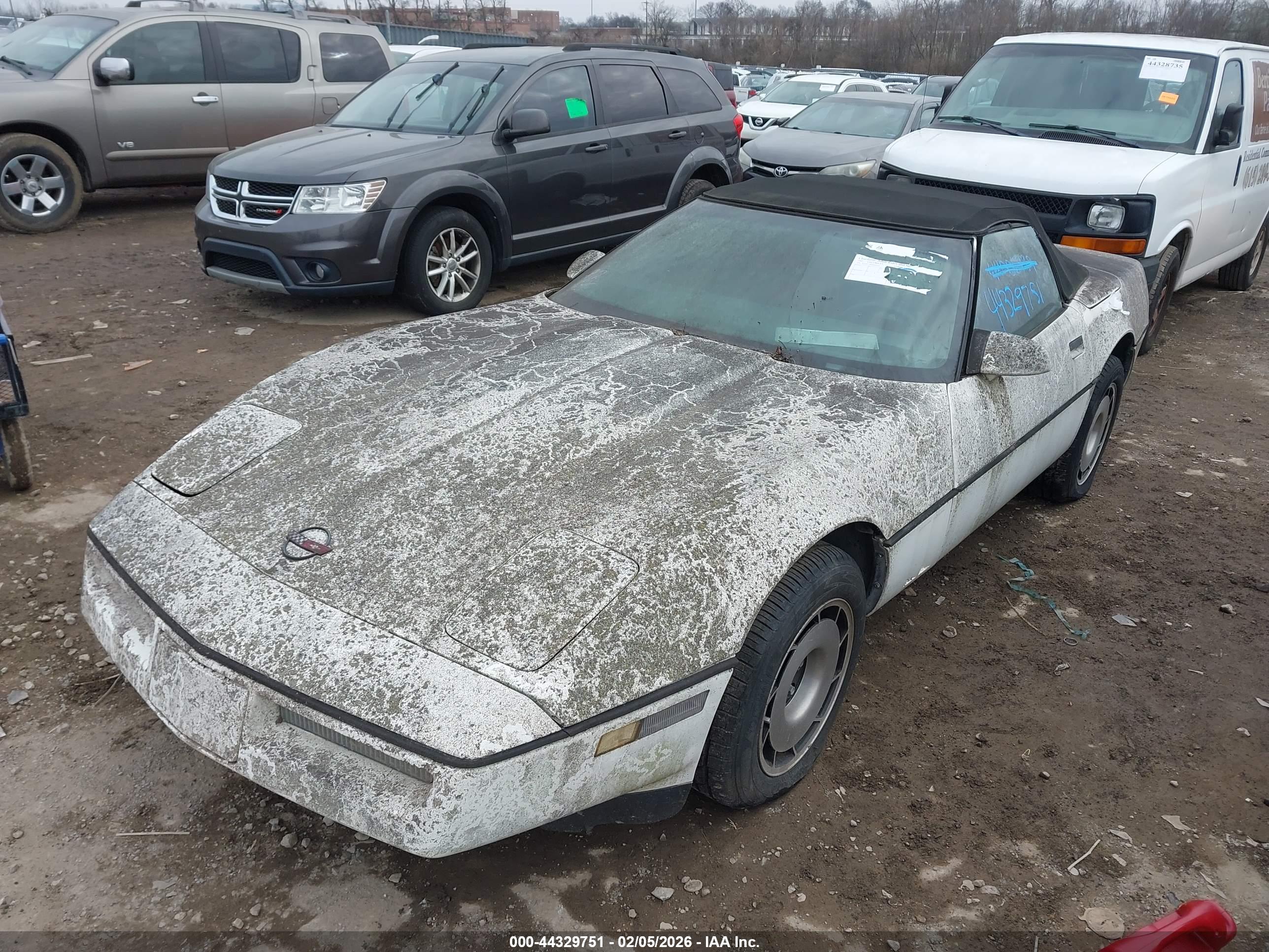 CHEVROLET CORVETTE image 6