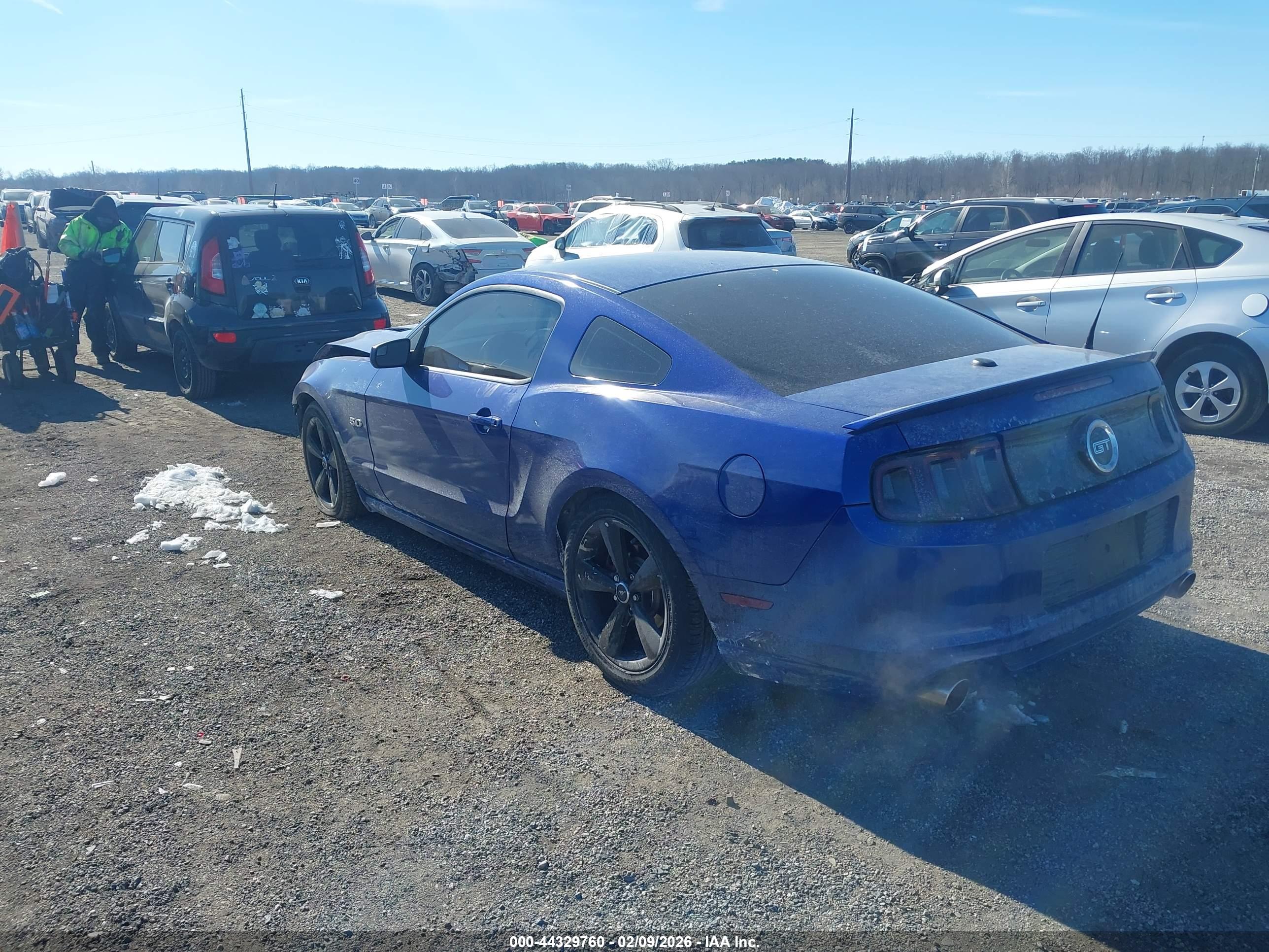 FORD MUSTANG image 3