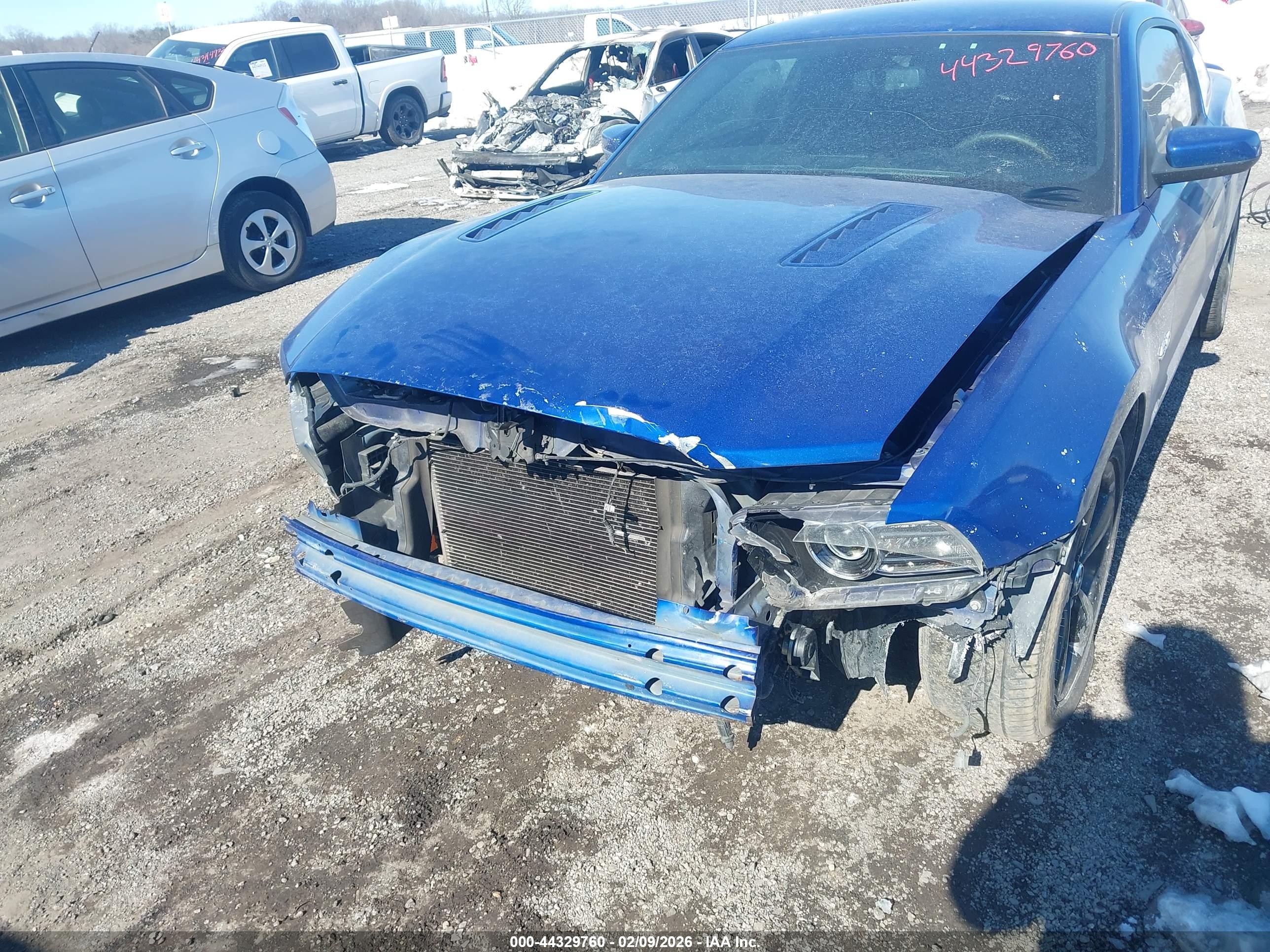 FORD MUSTANG image 6