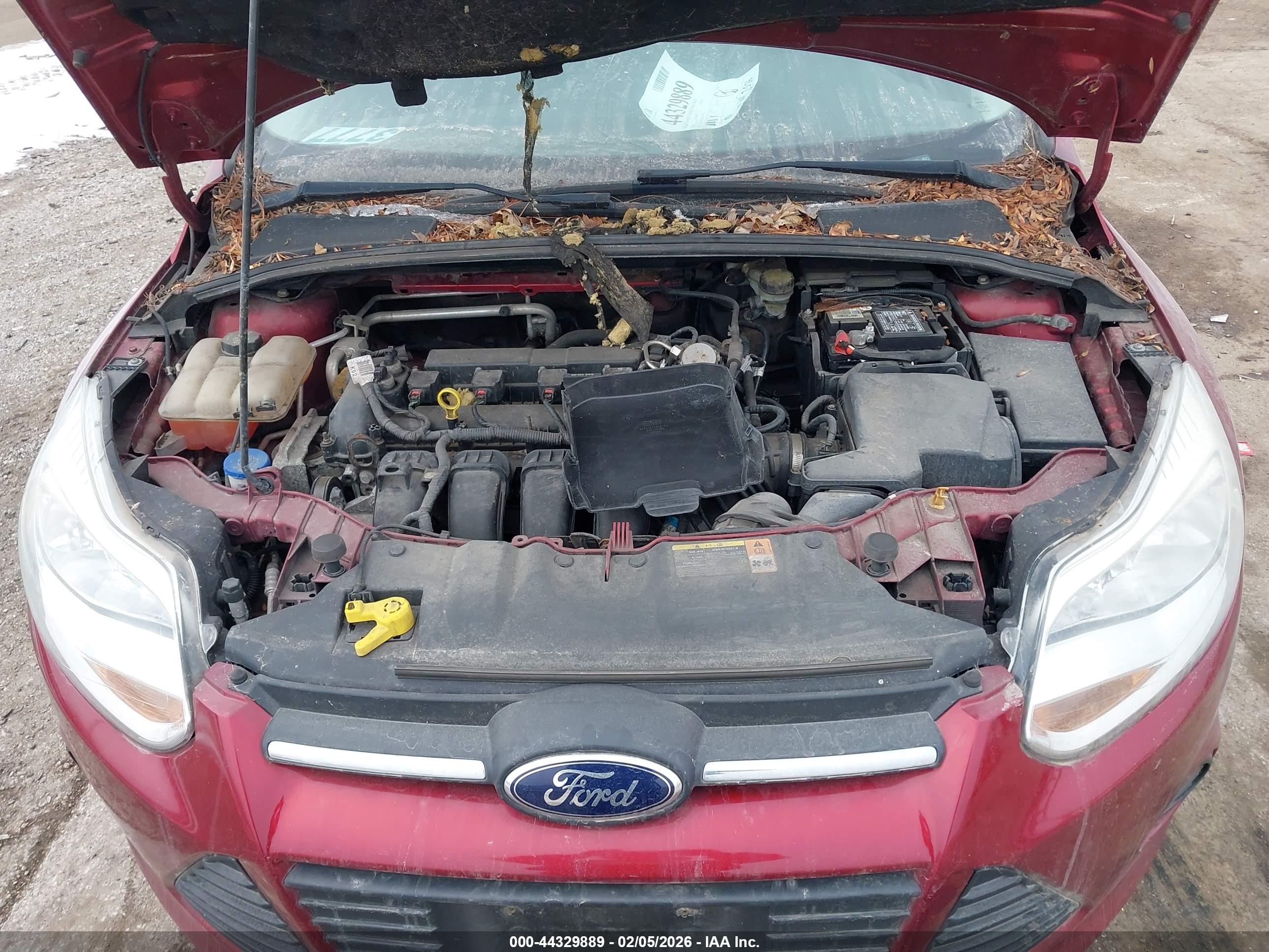 FORD FOCUS image 10