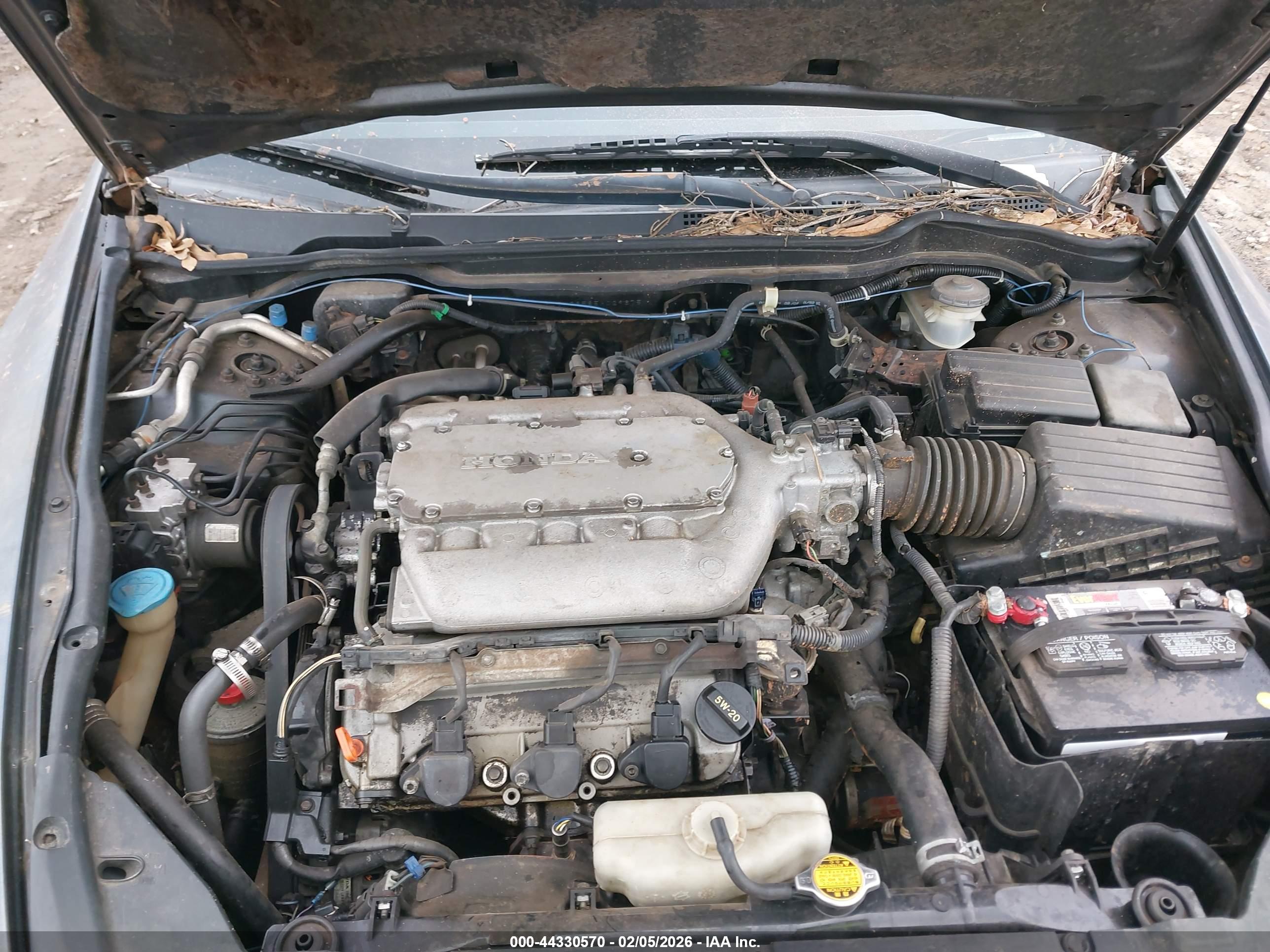 HONDA ACCORD image 10