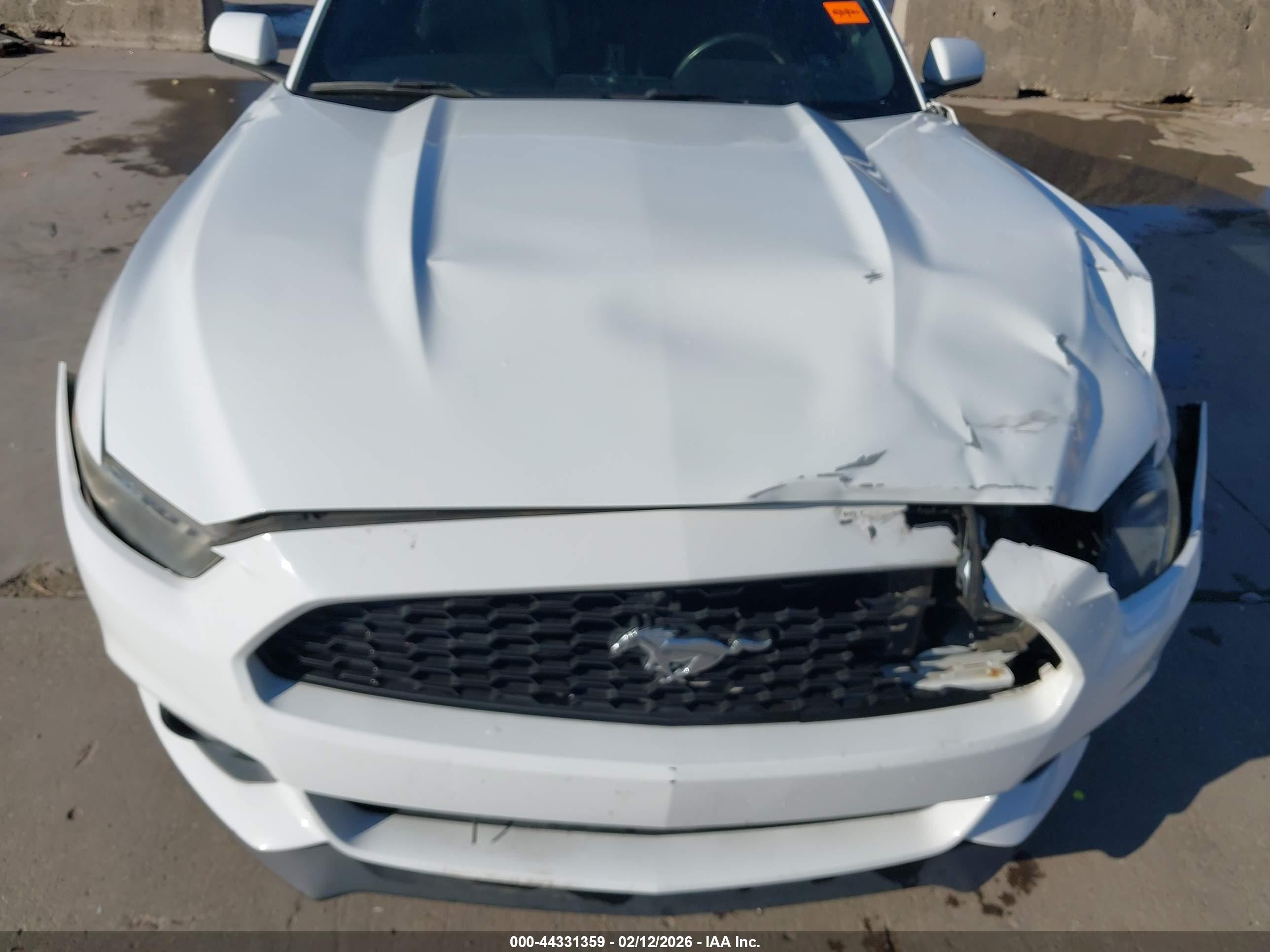 FORD MUSTANG image 6