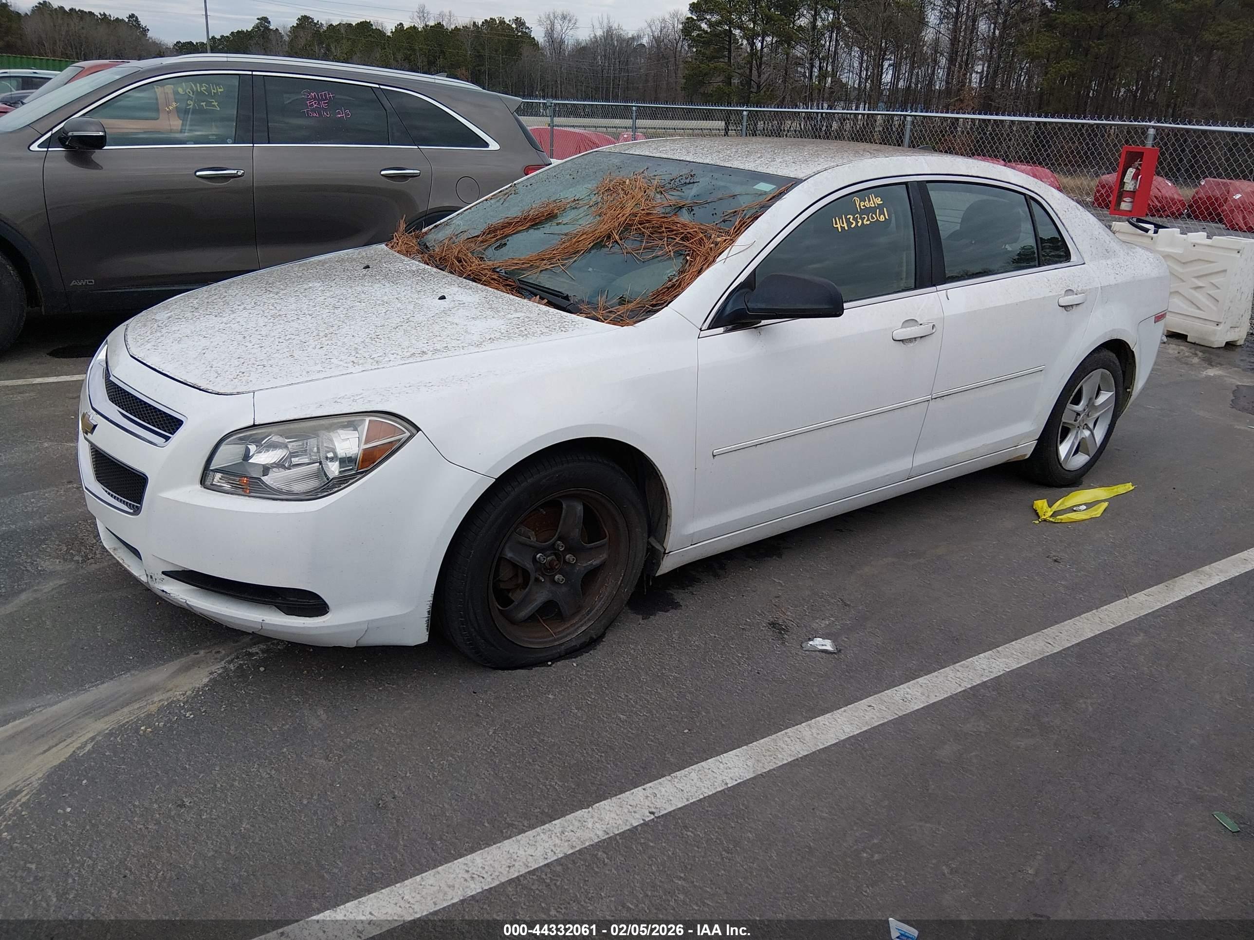 CHEVROLET MALIBU image 2