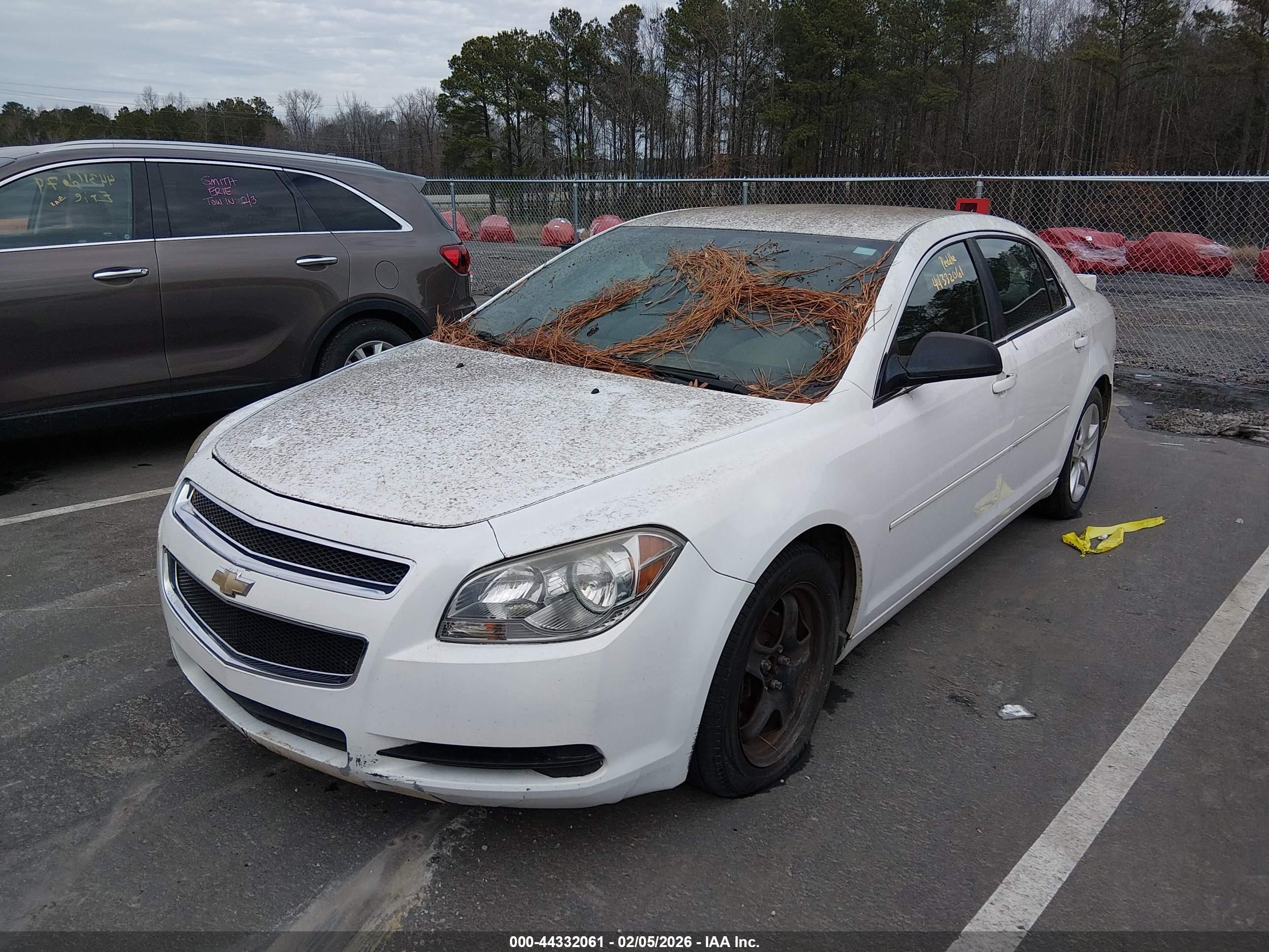 CHEVROLET MALIBU image 6