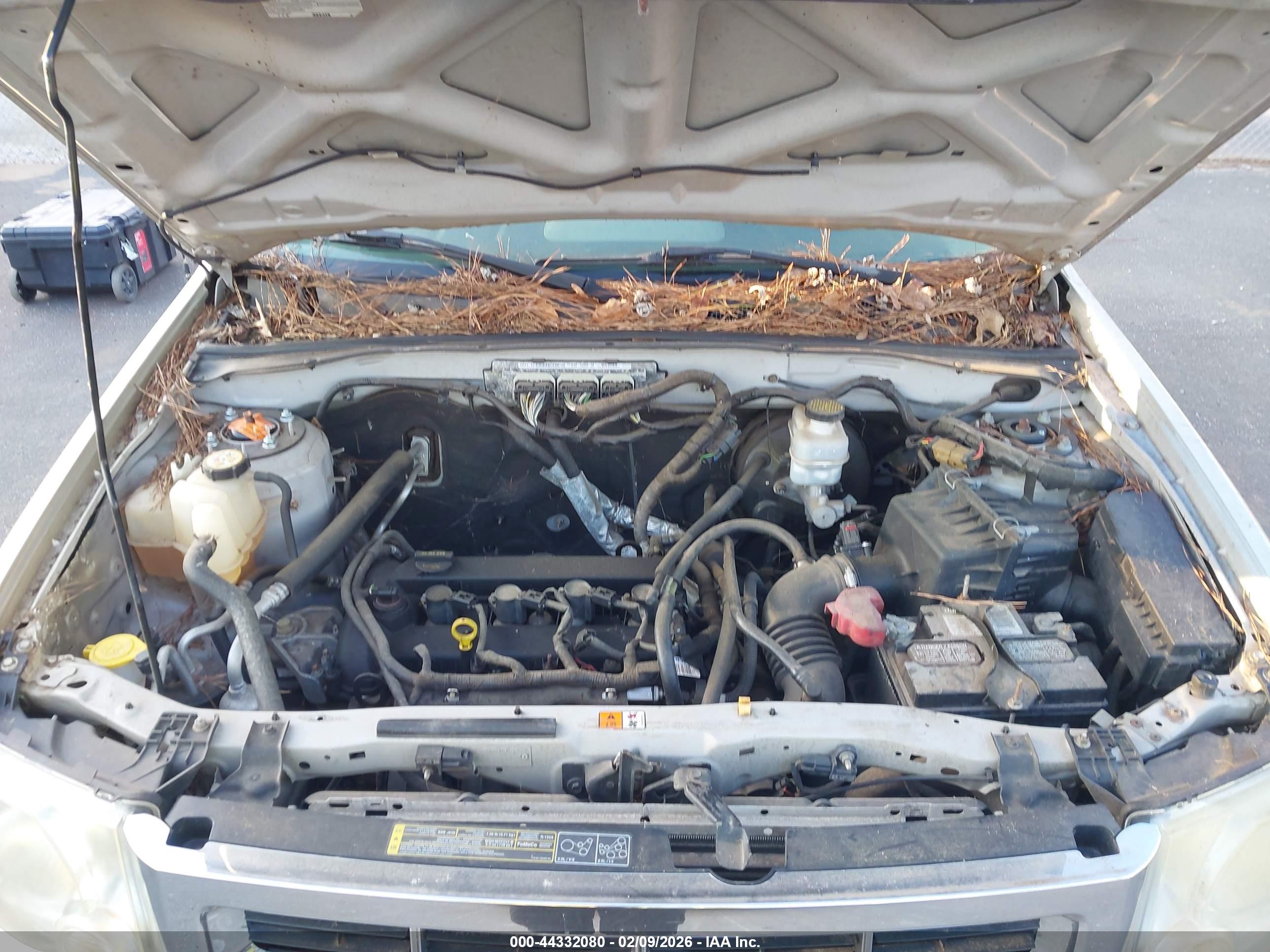 FORD ESCAPE image 10