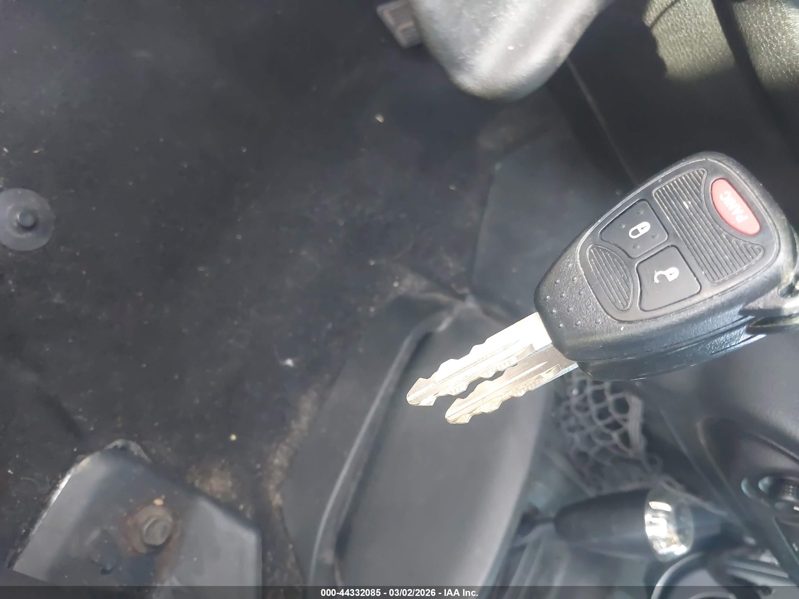 JEEP WRANGLER image 11