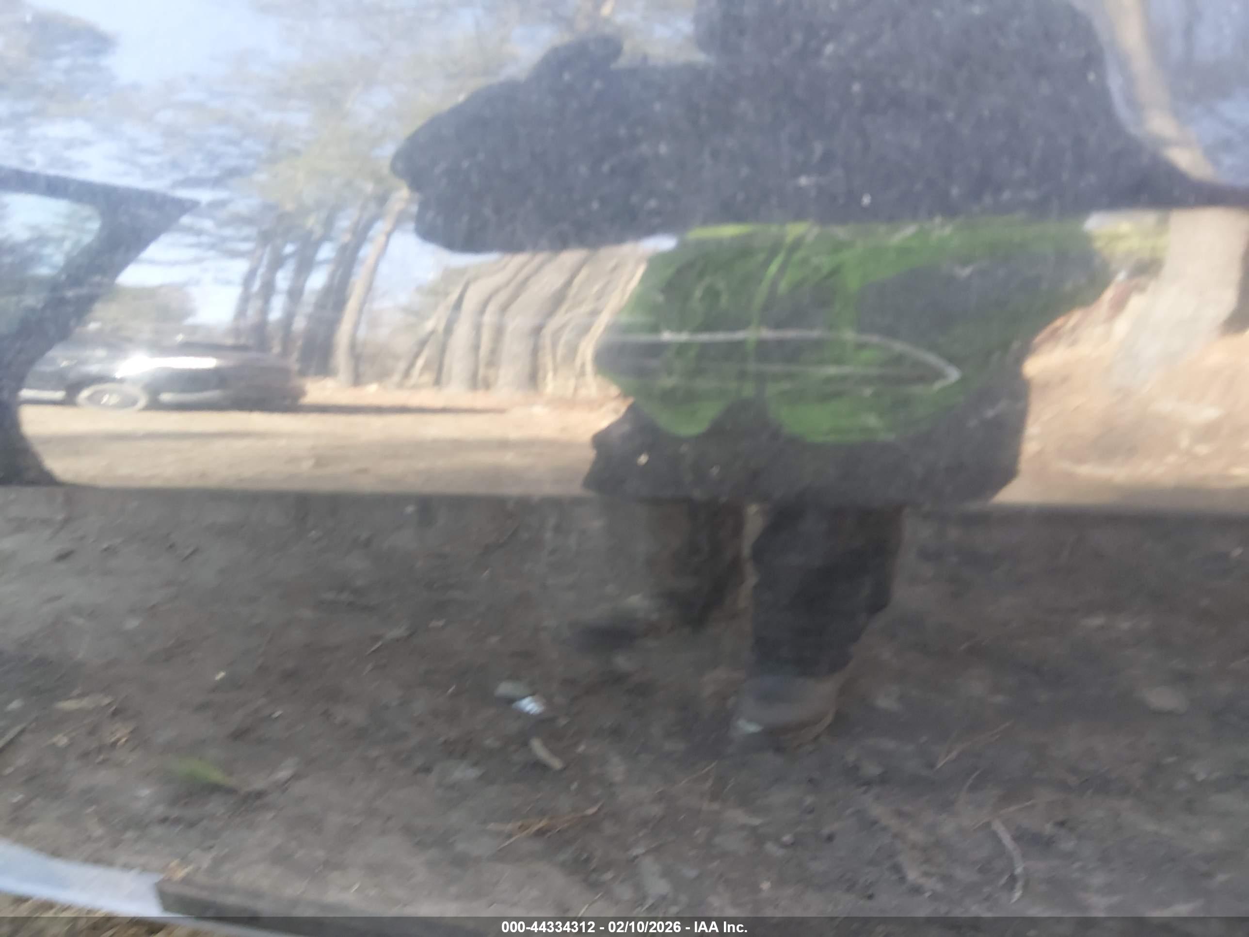 FORD FOCUS image 6