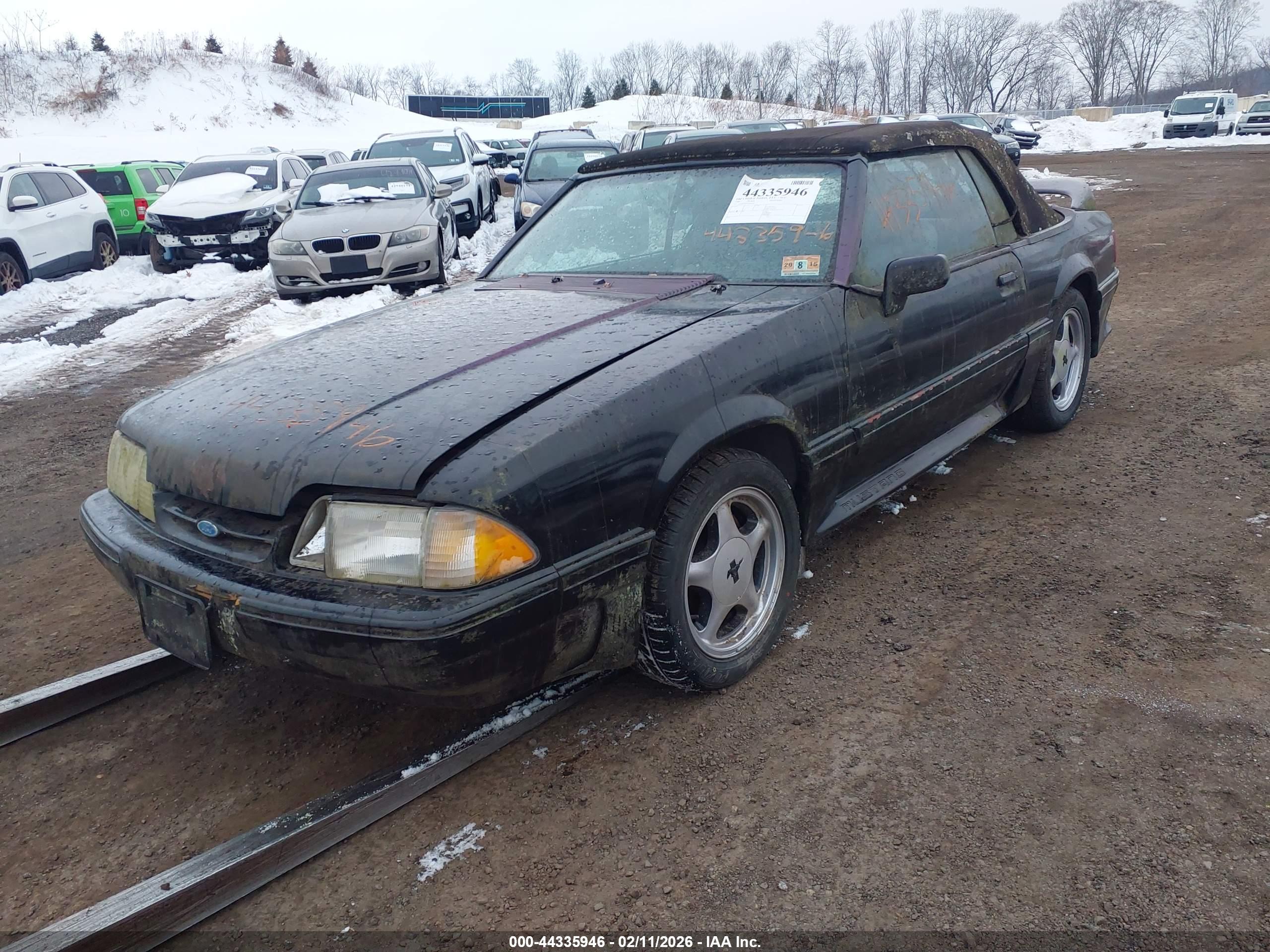 FORD MUSTANG image 2