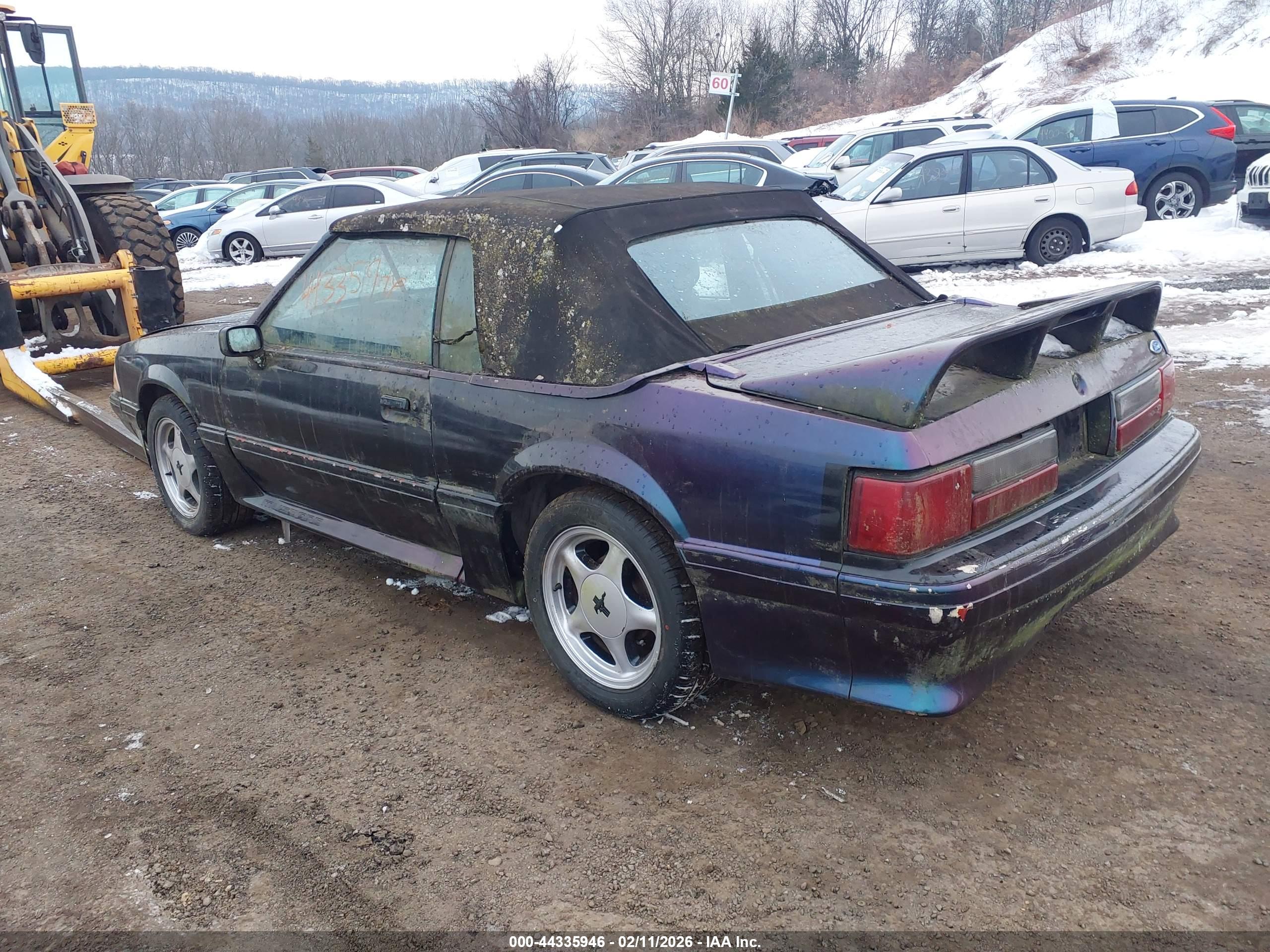 FORD MUSTANG image 3