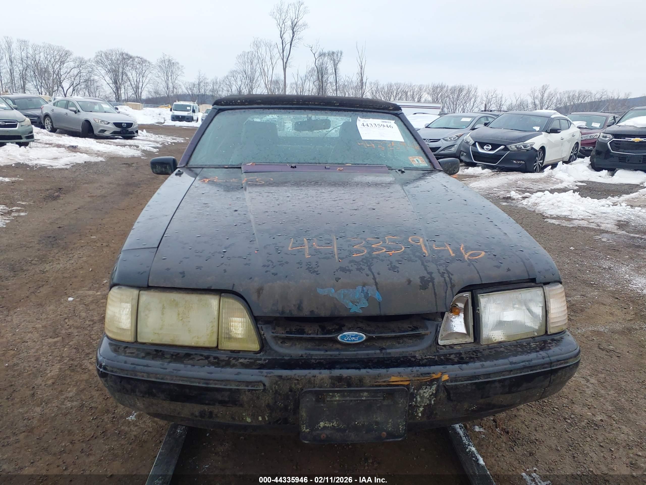 FORD MUSTANG image 6