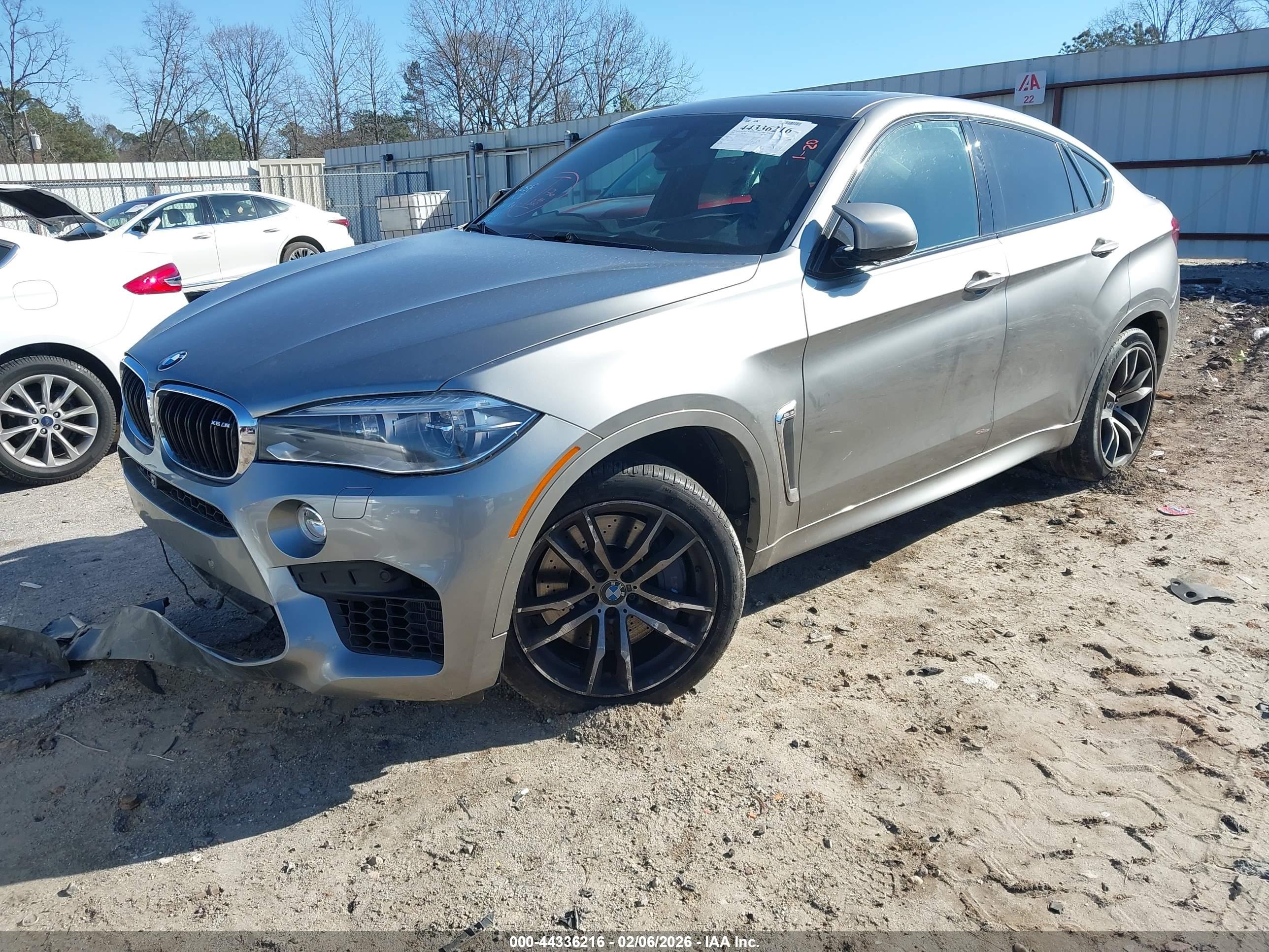 BMW X6 image 2