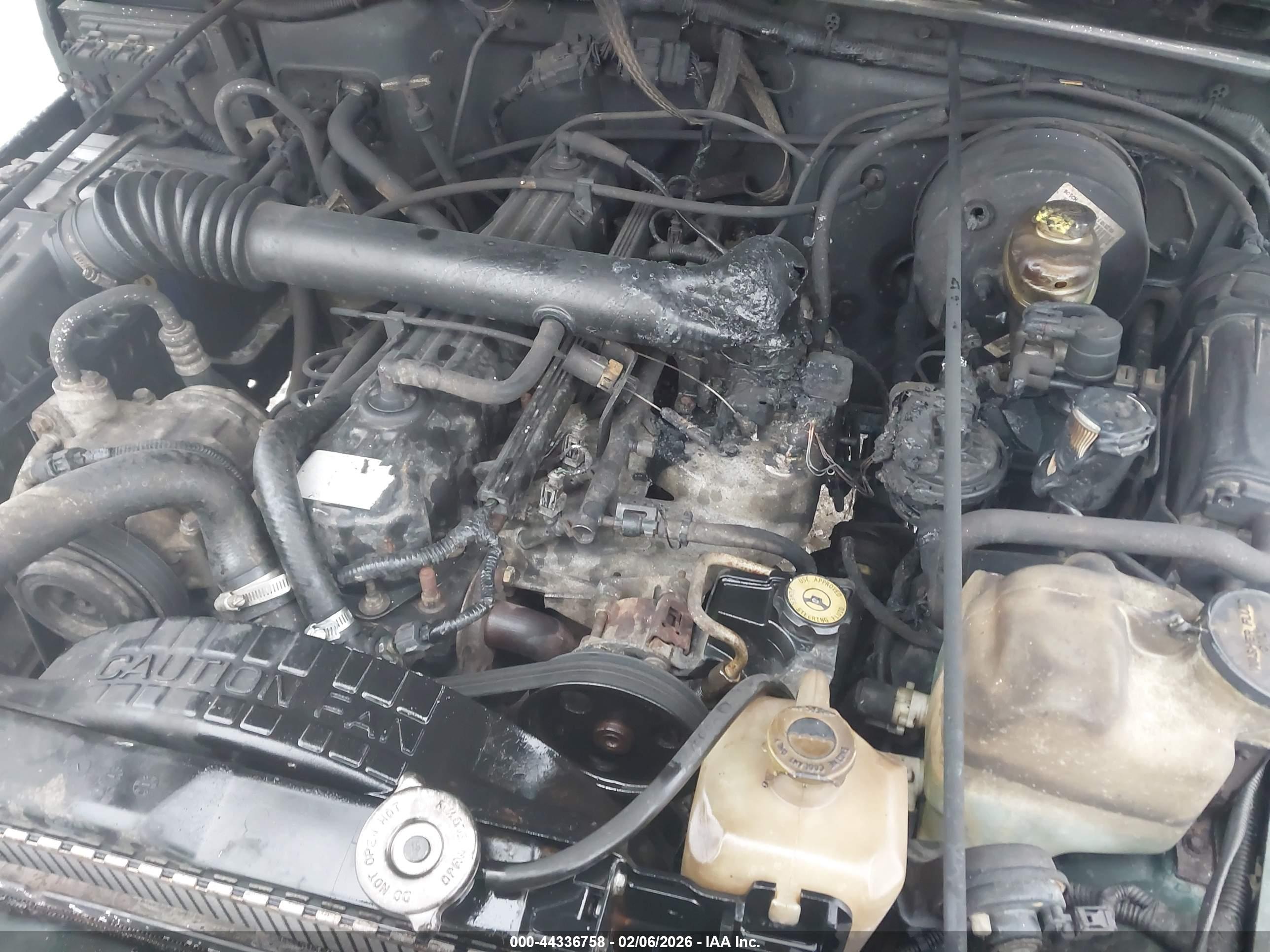 JEEP WRANGLER image 6