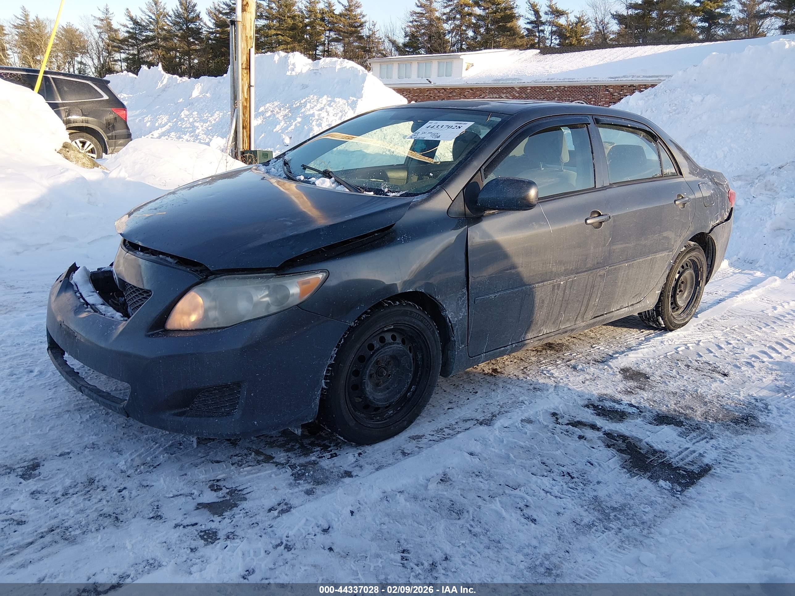 TOYOTA COROLLA image 2