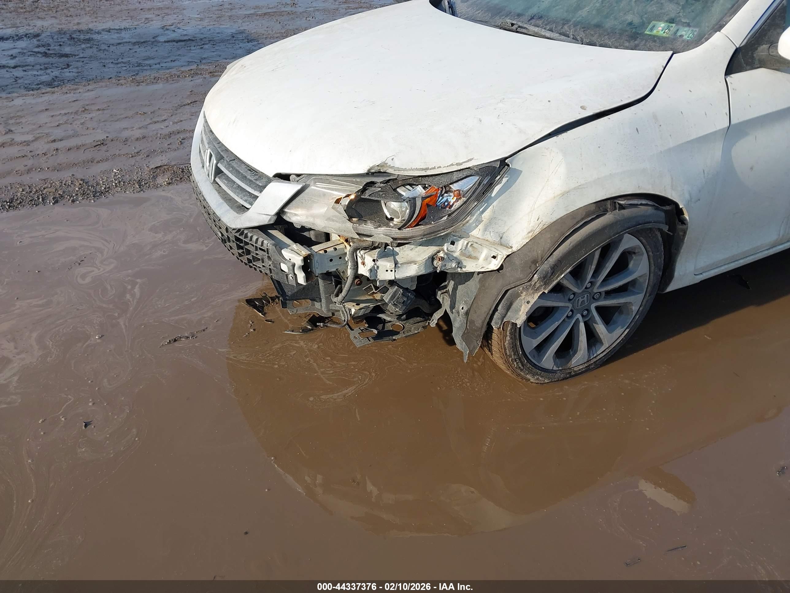 HONDA ACCORD image 6