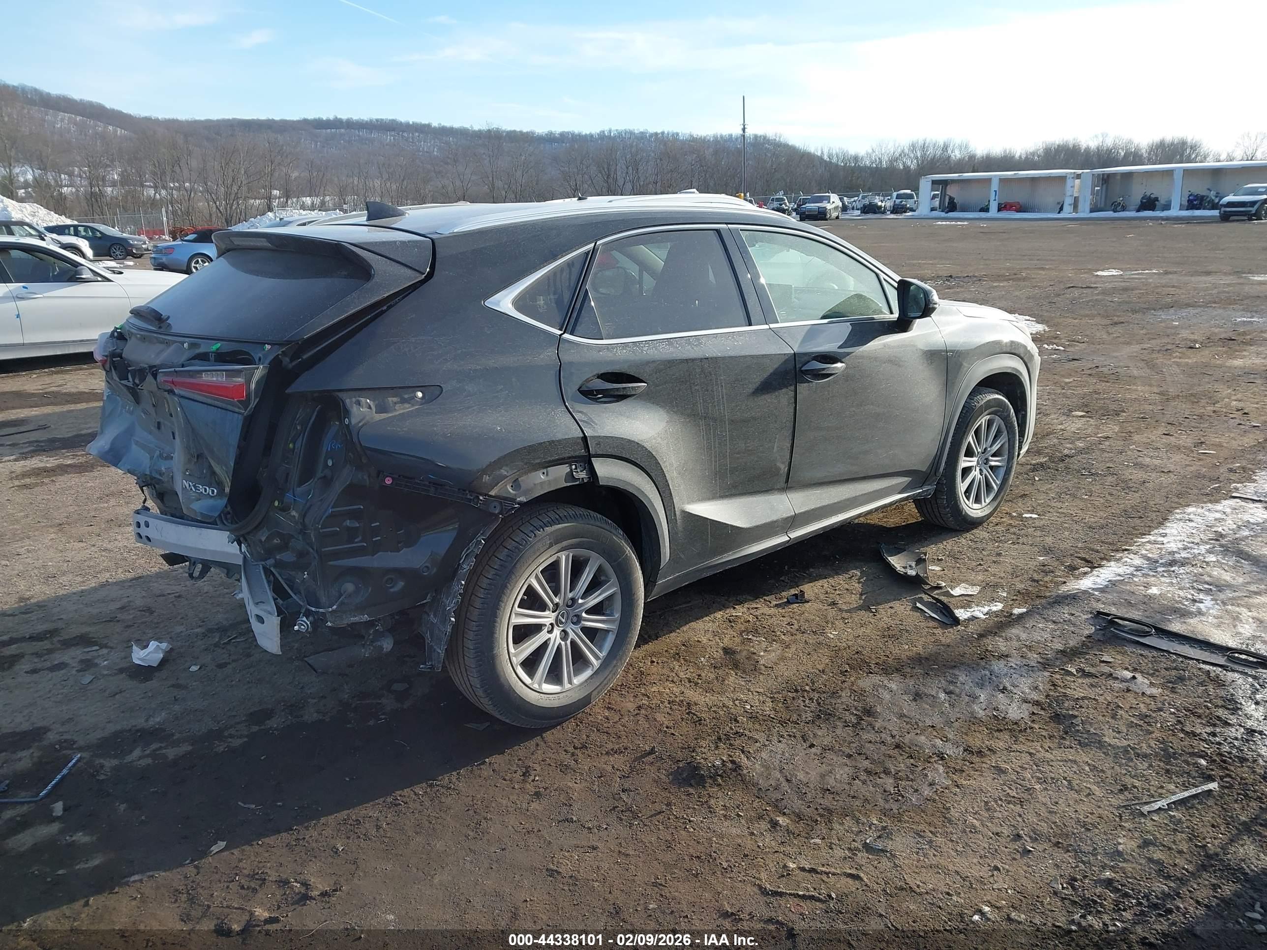 LEXUS NX image 4
