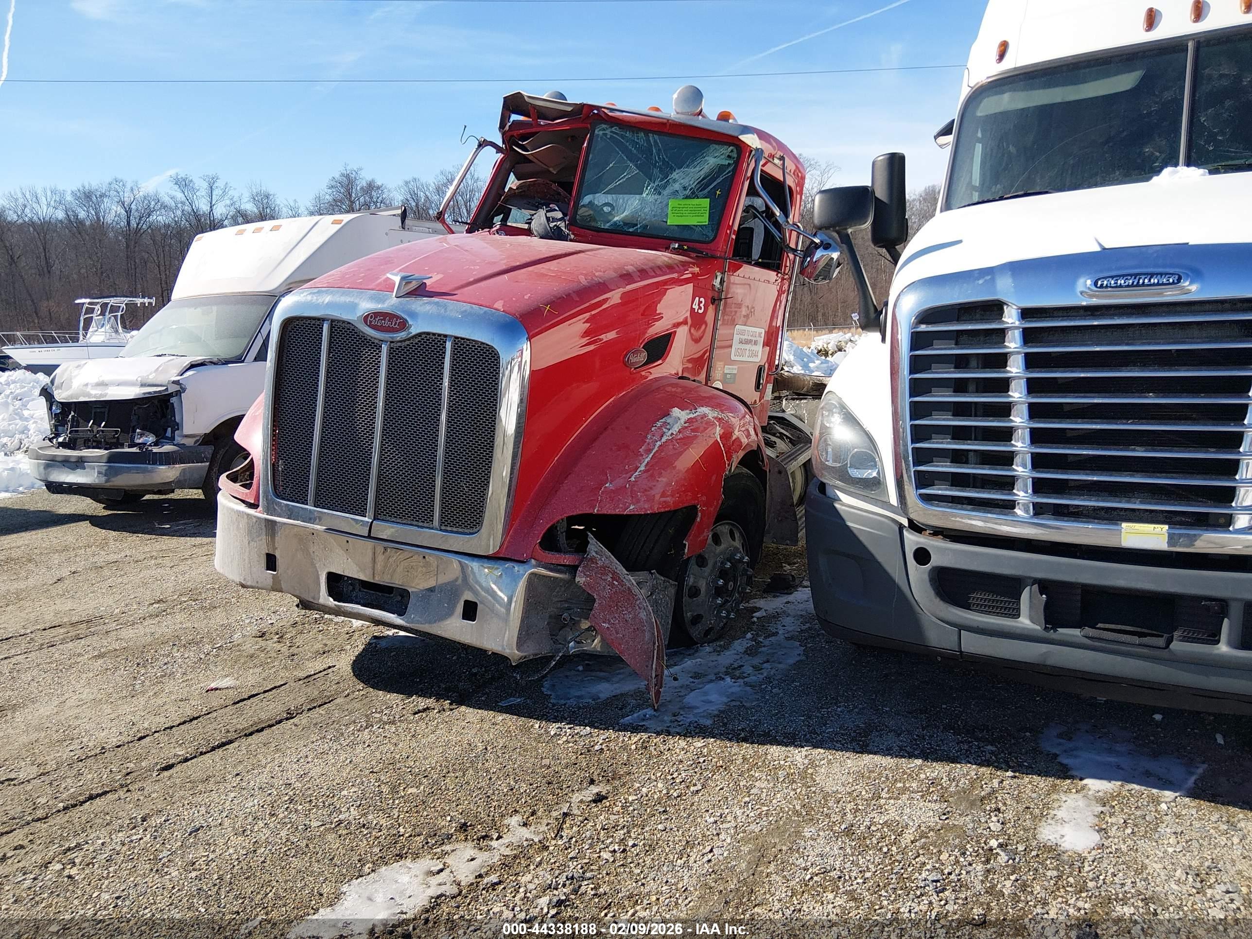 PETERBILT 384 image 2