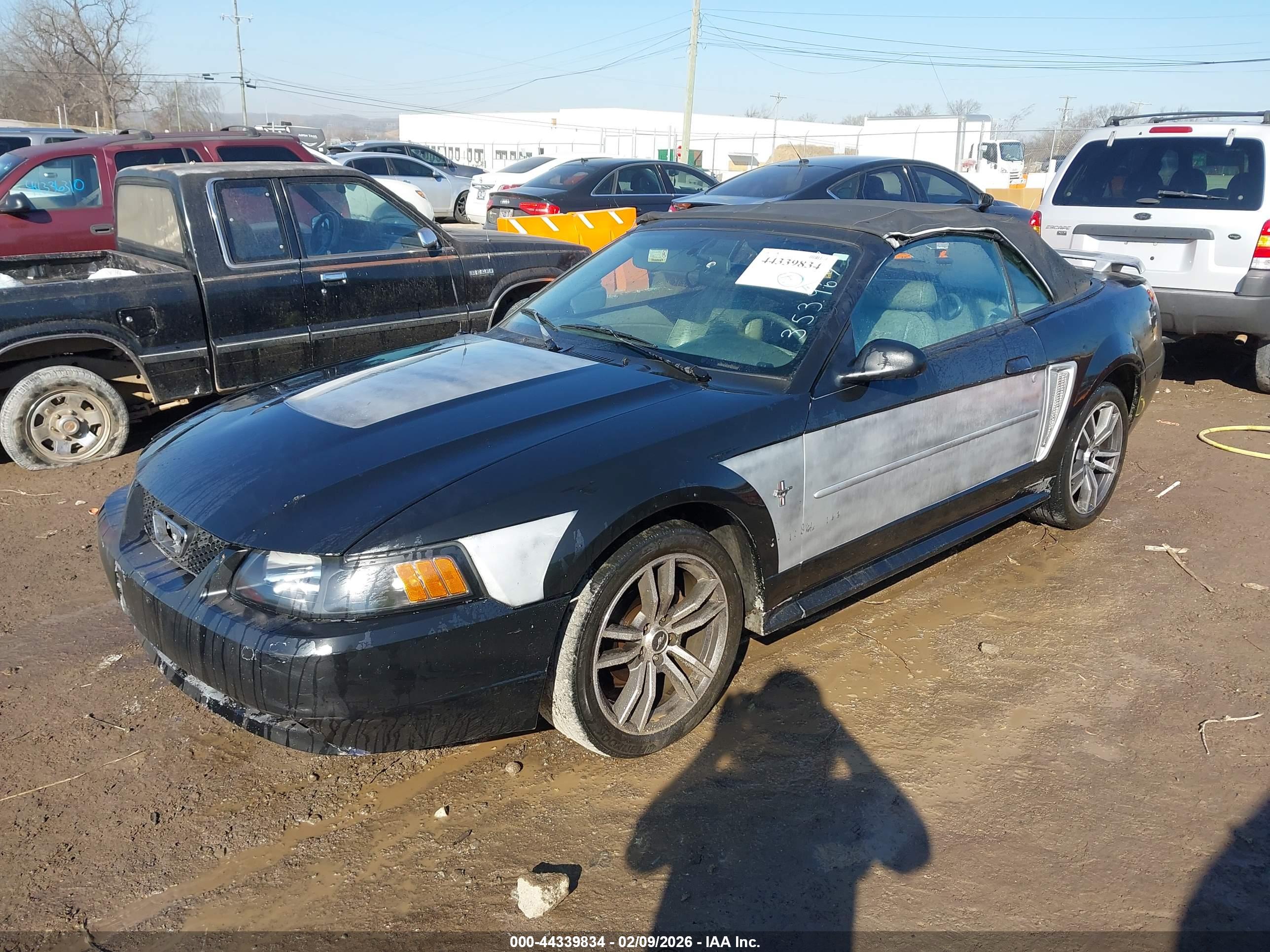 FORD MUSTANG image 2