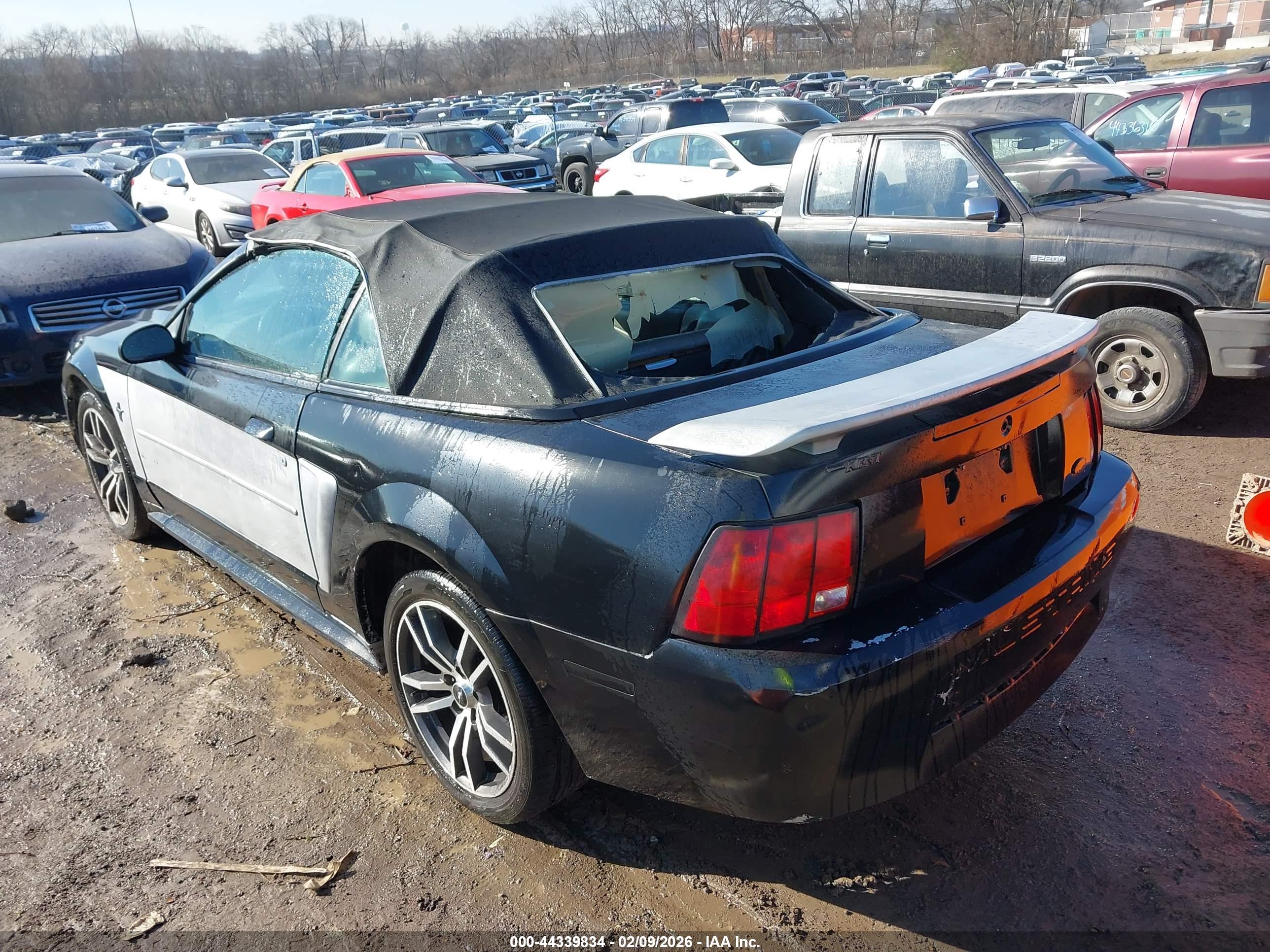 FORD MUSTANG image 3