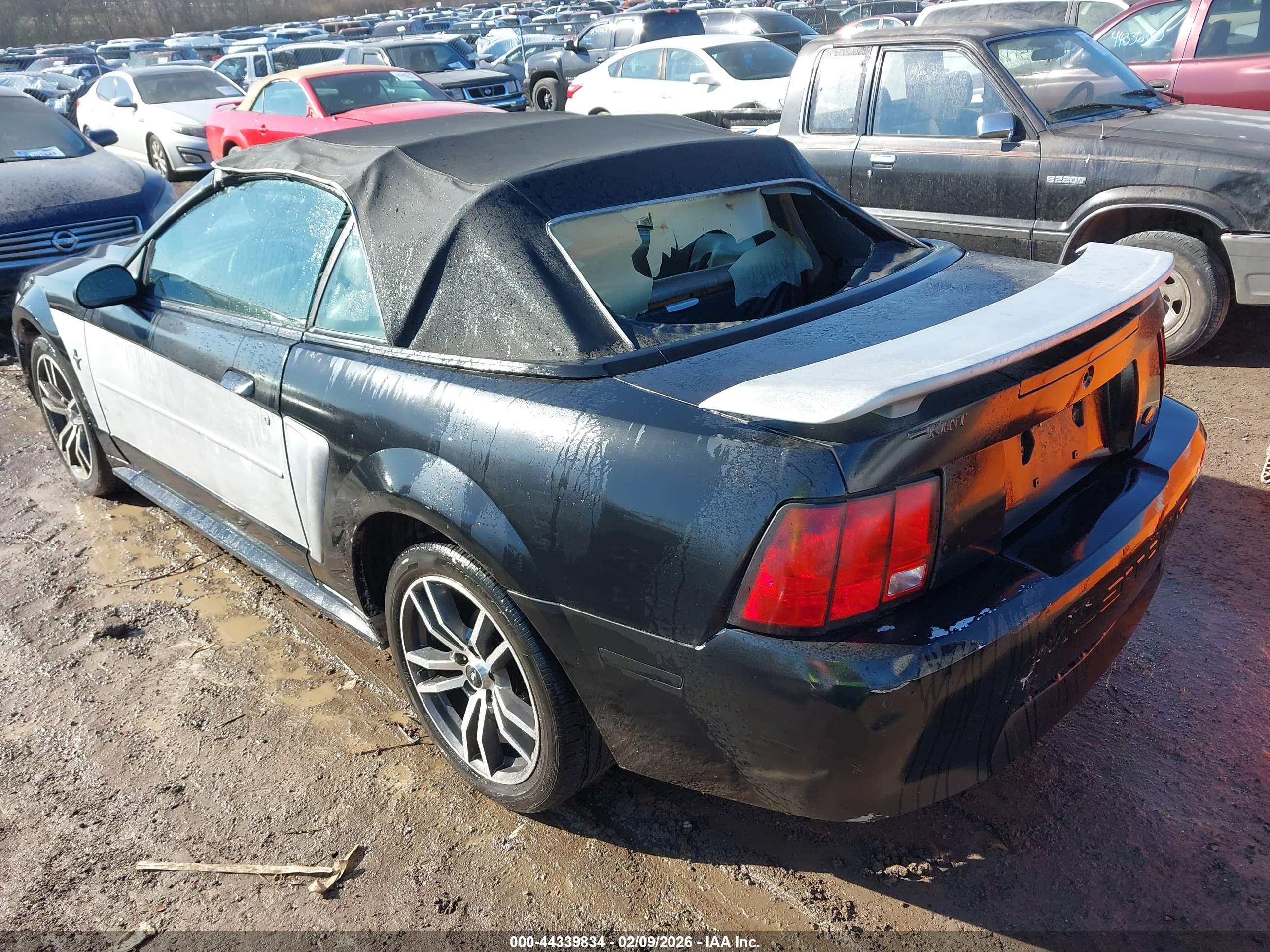 FORD MUSTANG image 6