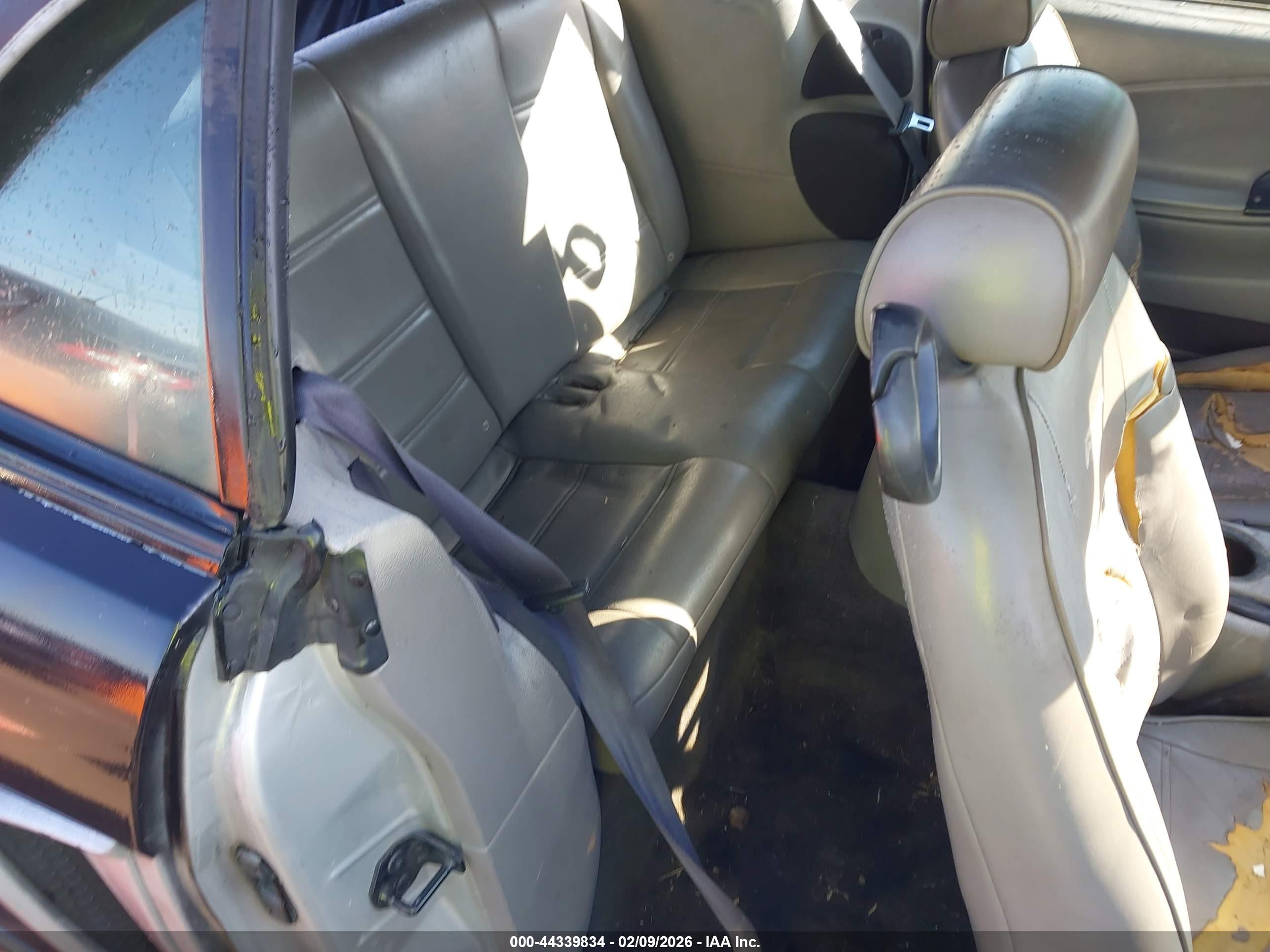 FORD MUSTANG image 8