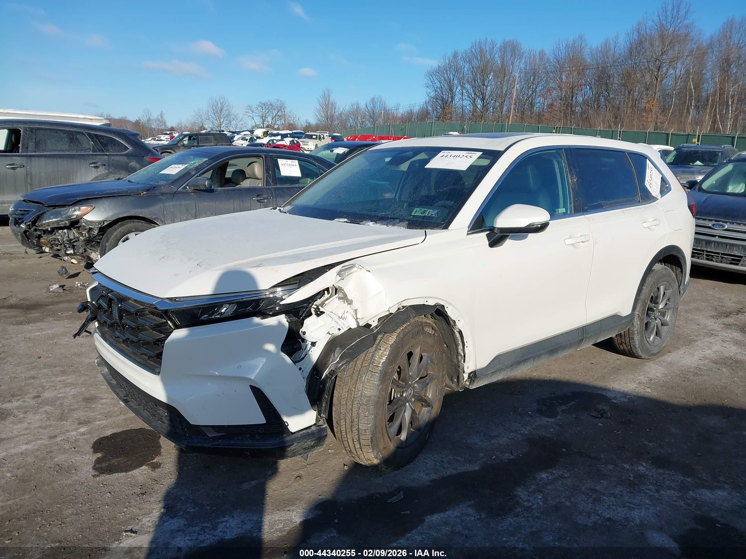 HONDA CR-V image 2