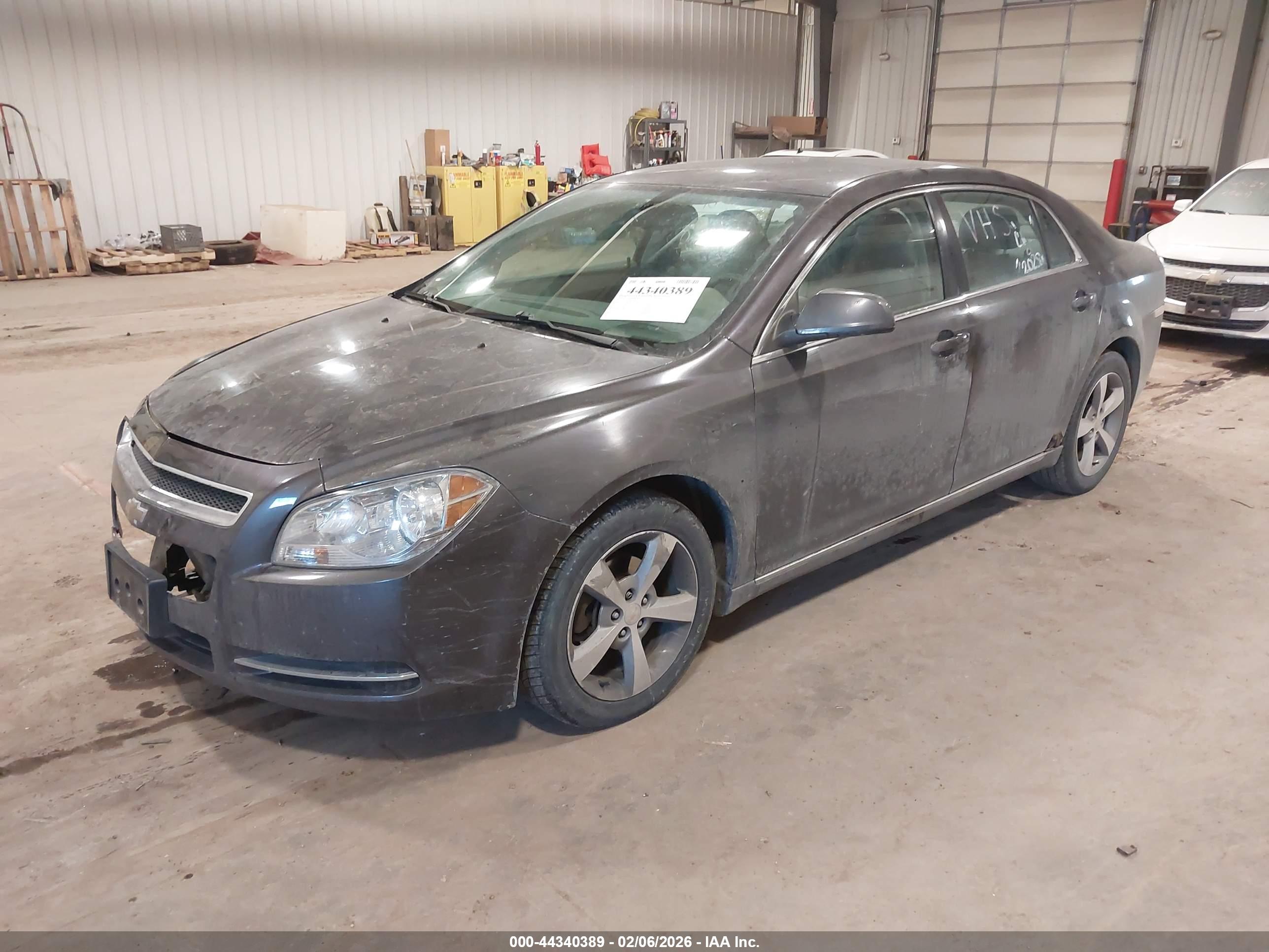 CHEVROLET MALIBU image 2