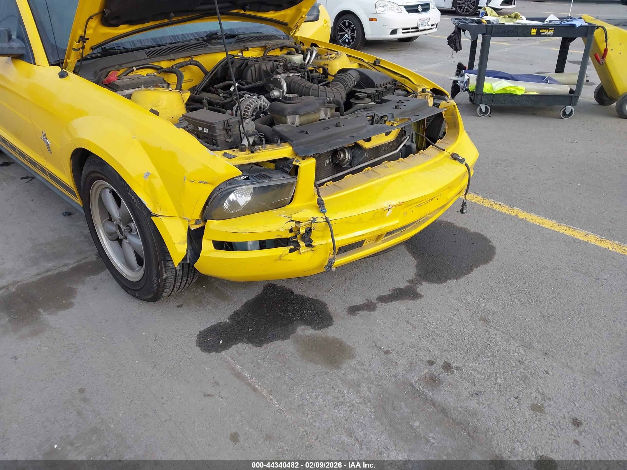 FORD MUSTANG image 6