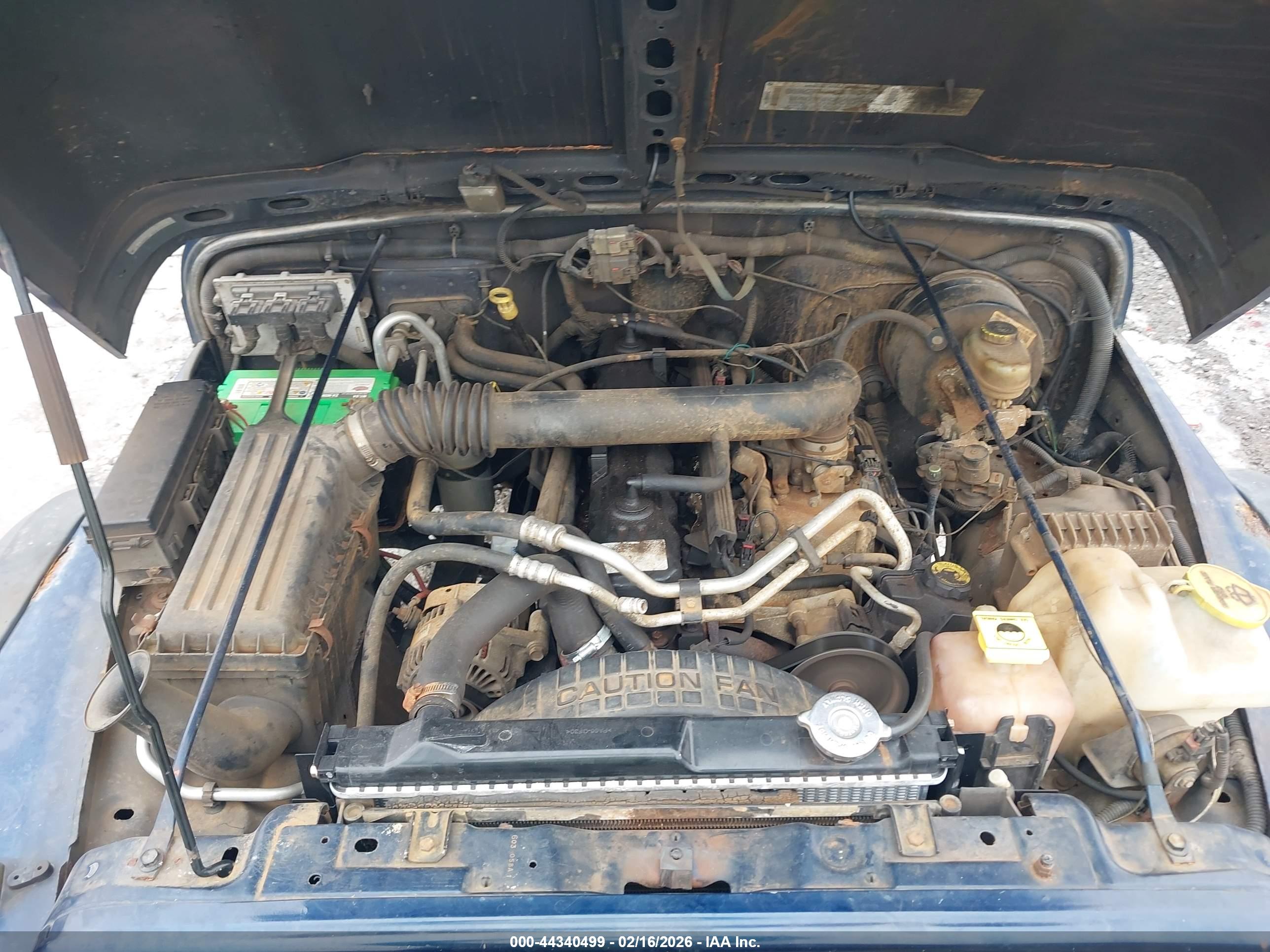 JEEP WRANGLER image 10