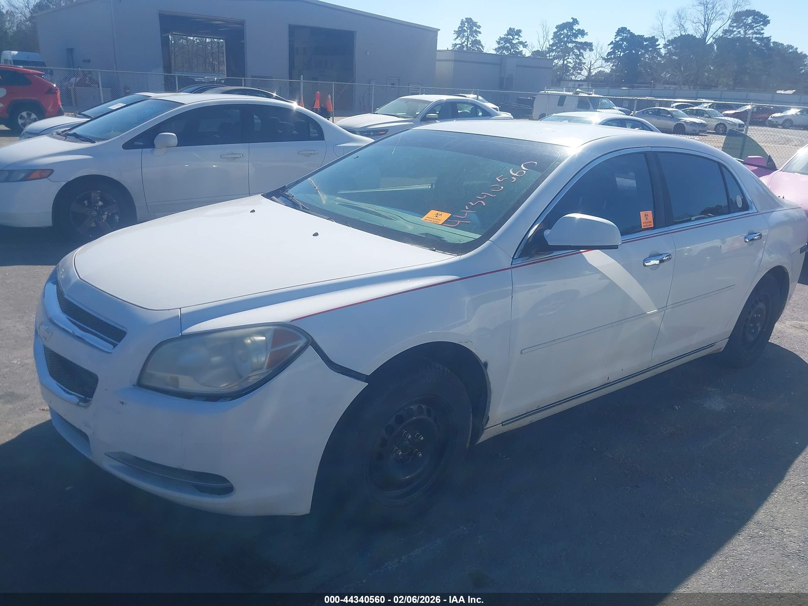 CHEVROLET MALIBU image 2