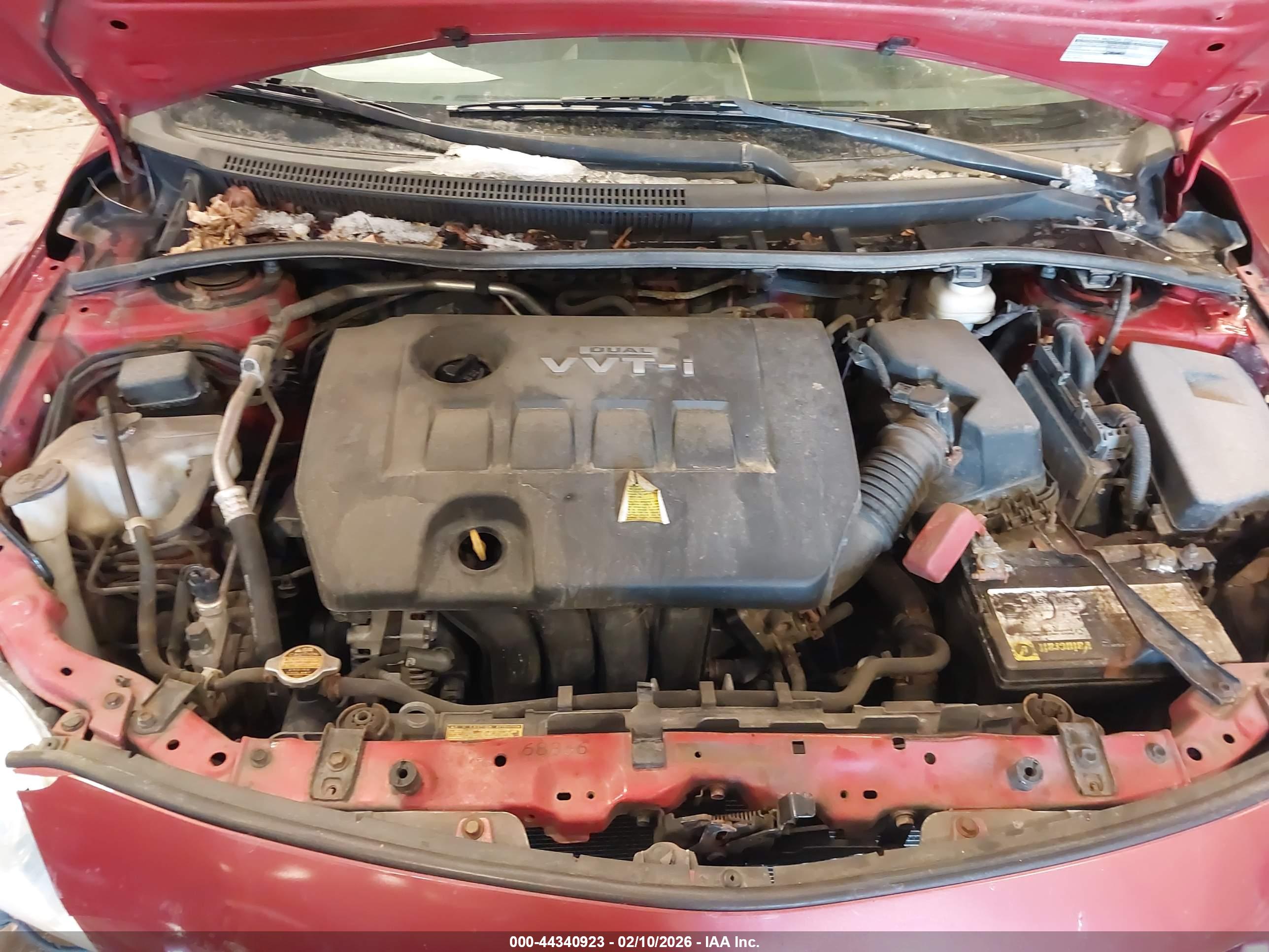 TOYOTA COROLLA image 10