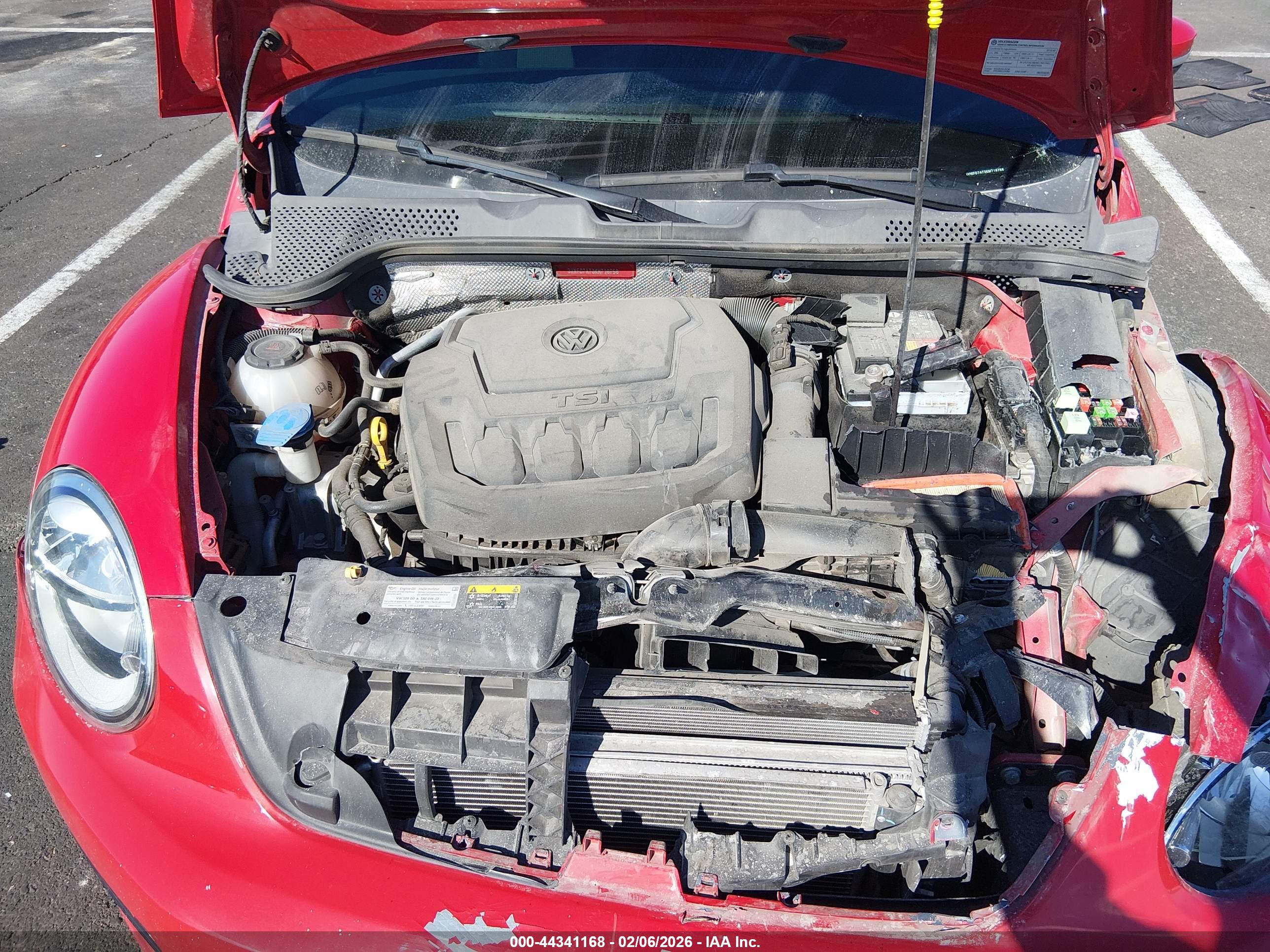 VOLKSWAGEN BEETLE image 10