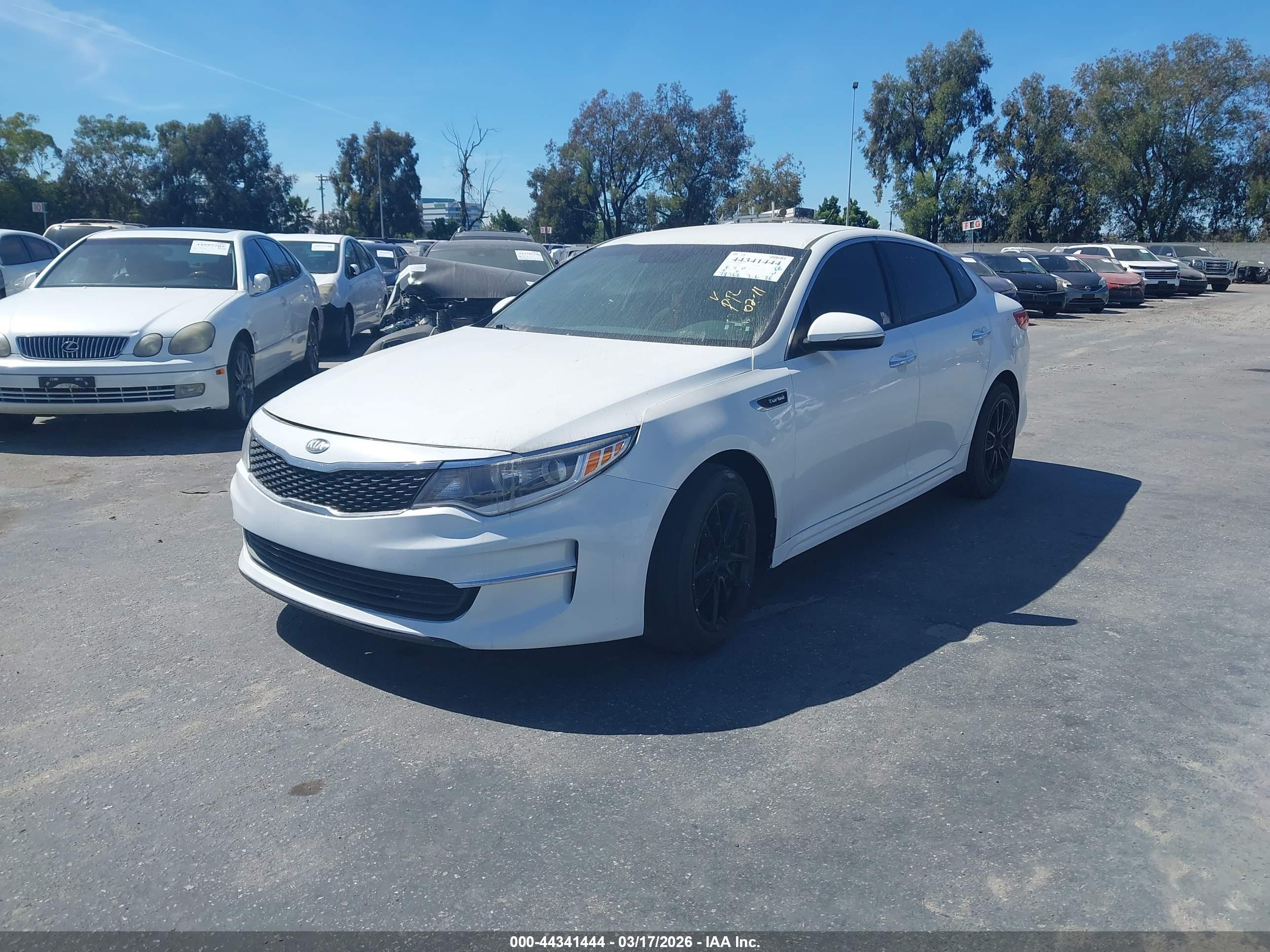 KIA OPTIMA image 2