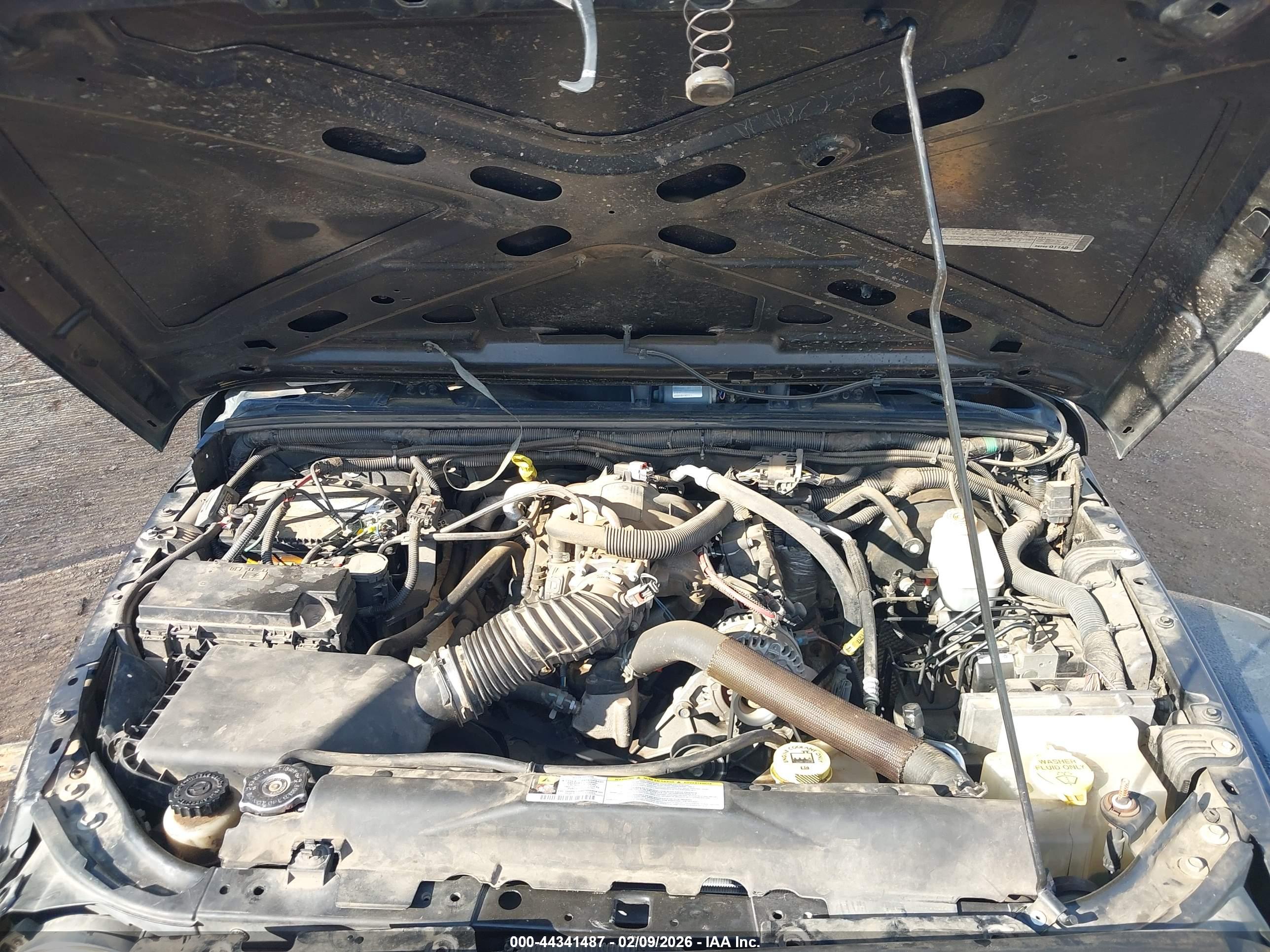 JEEP WRANGLER image 10
