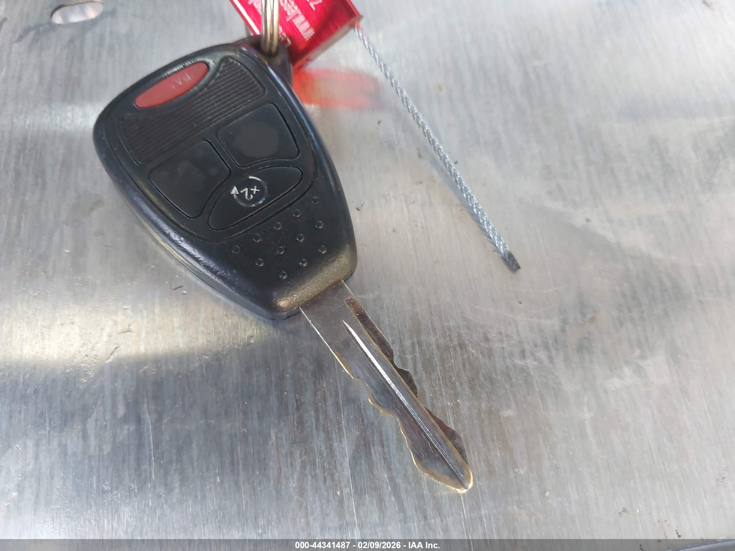 JEEP WRANGLER image 11