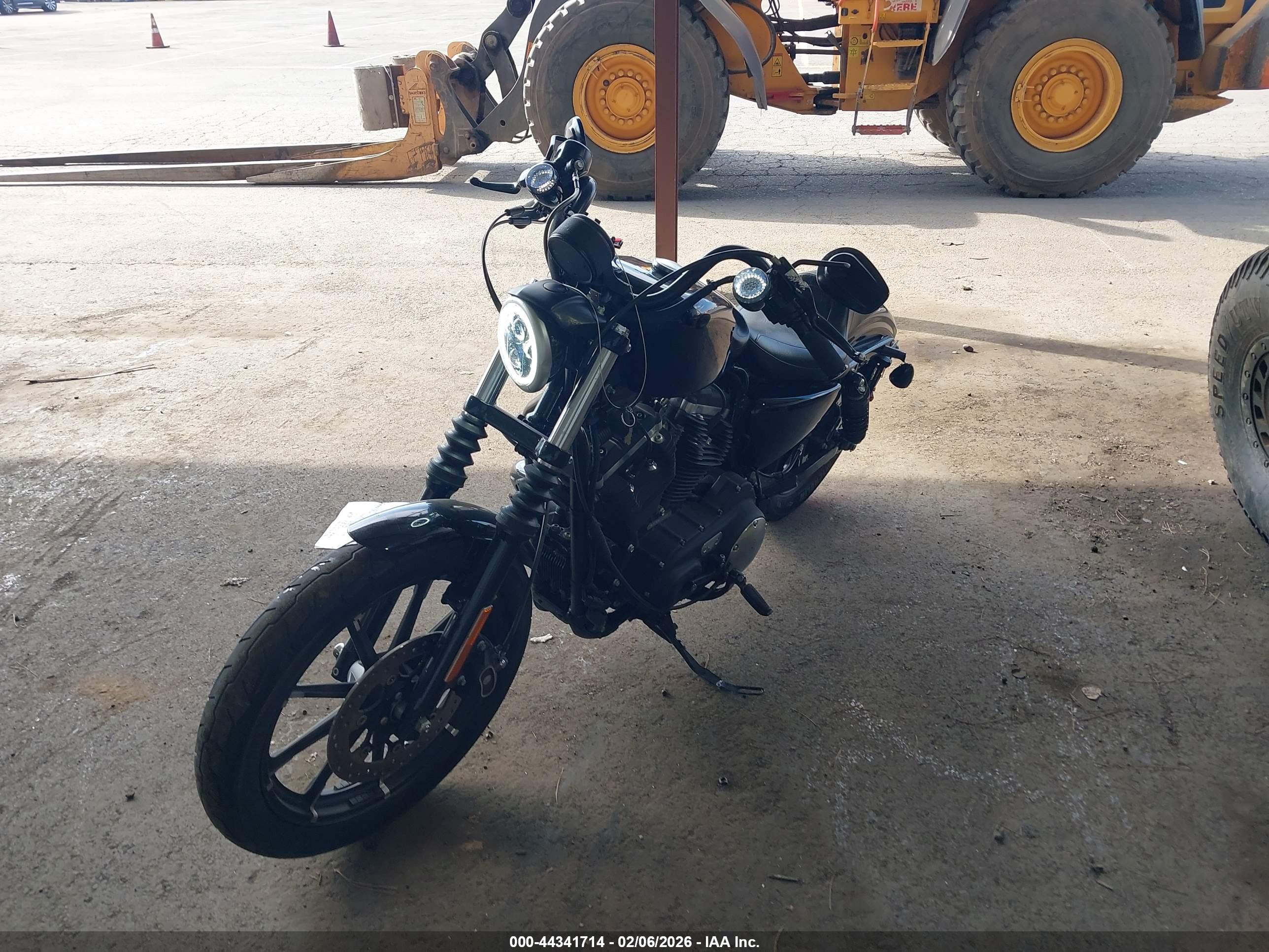 HARLEY-DAVIDSON XL883 image 2